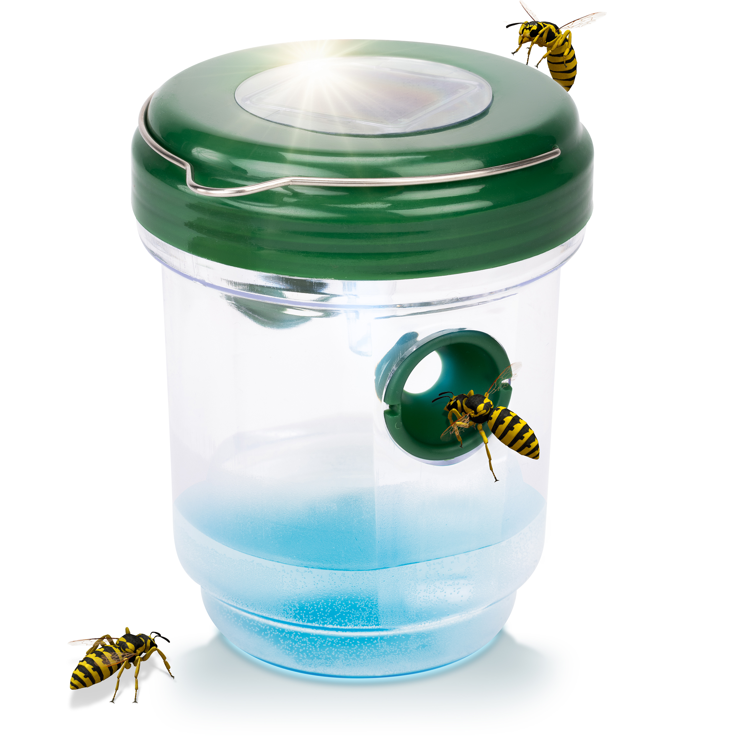 Solar wasp & mosquito trap