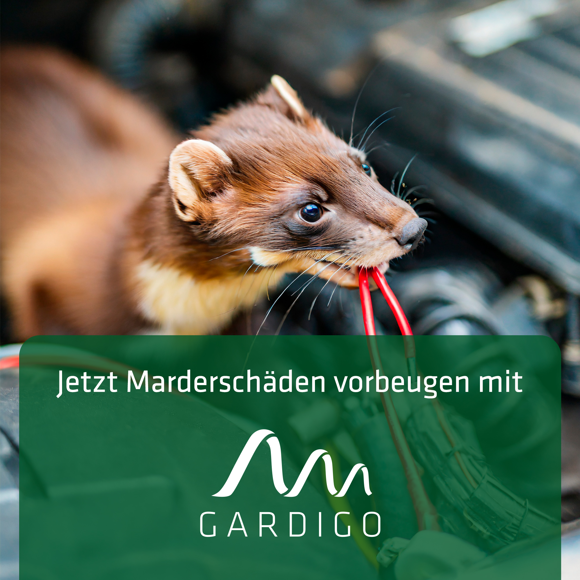 Marten Repellent Mobile | battery operated