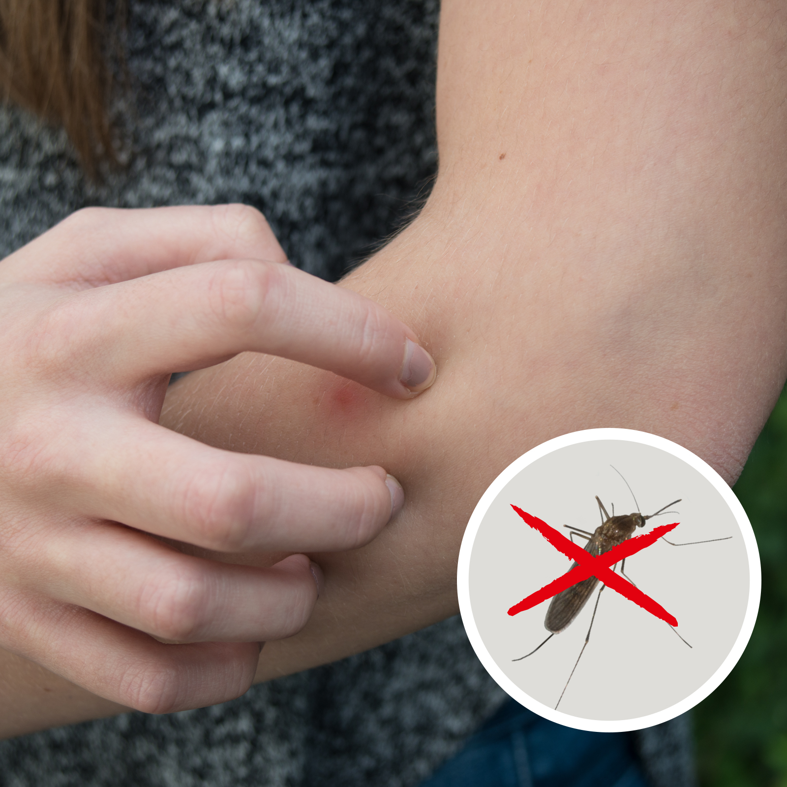 Mosquito Repellent | portable | with keyring & flashlight