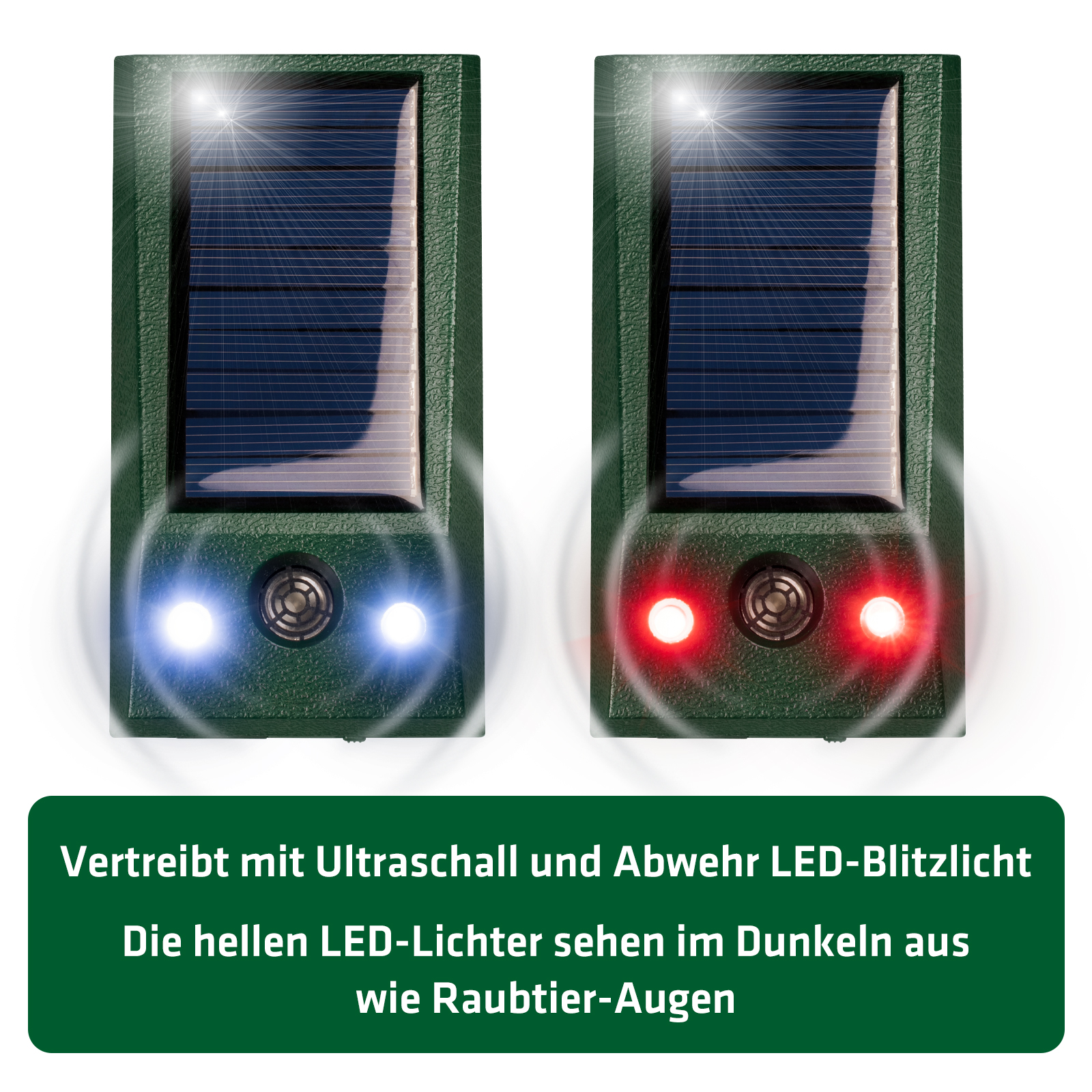 Waschbärschreck mit hellem Blitzlicht