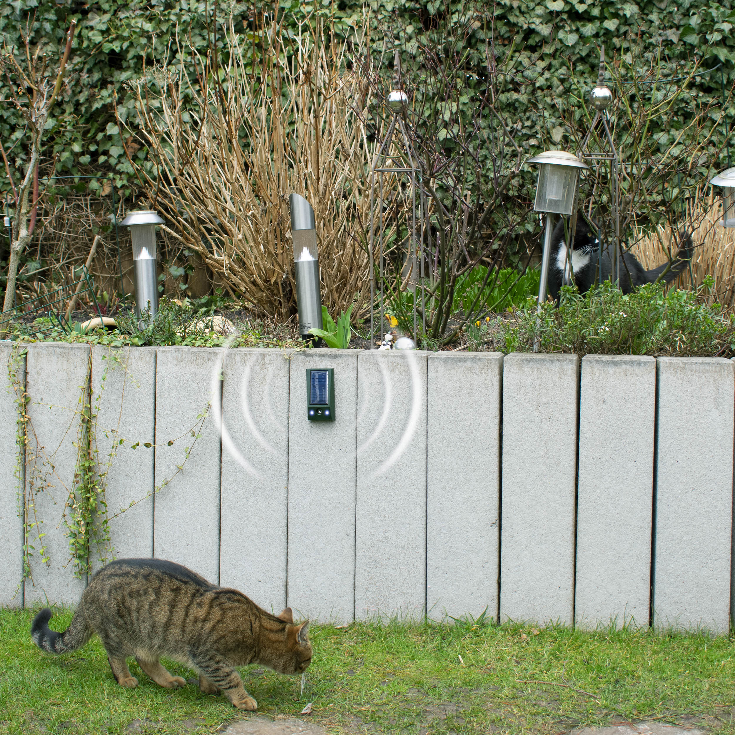 Solar Animal Repeller Basic