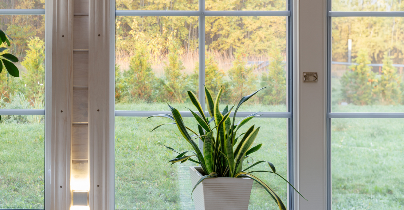 bird deterrents for windows