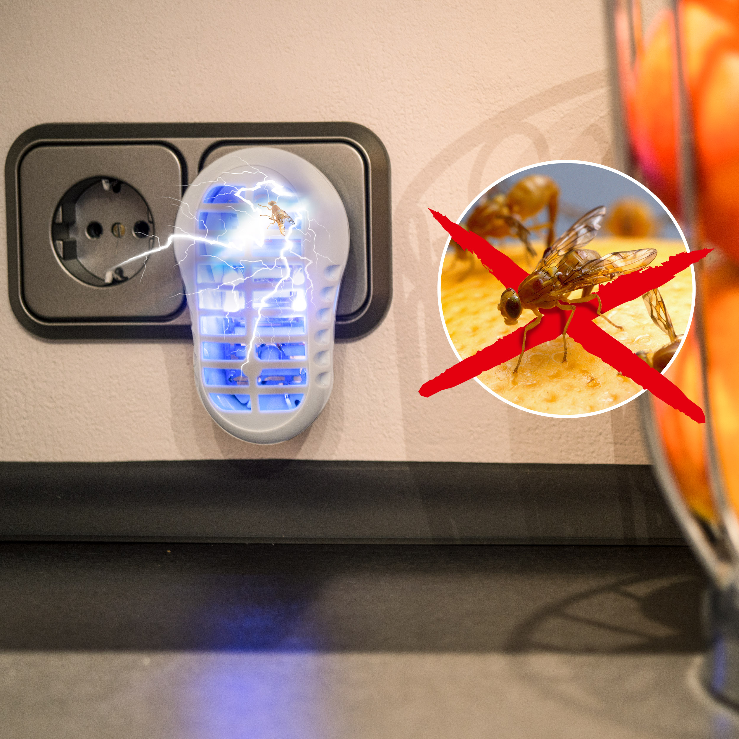 Fruit Fly Trap | electronic zapper | plug-in for power sockets