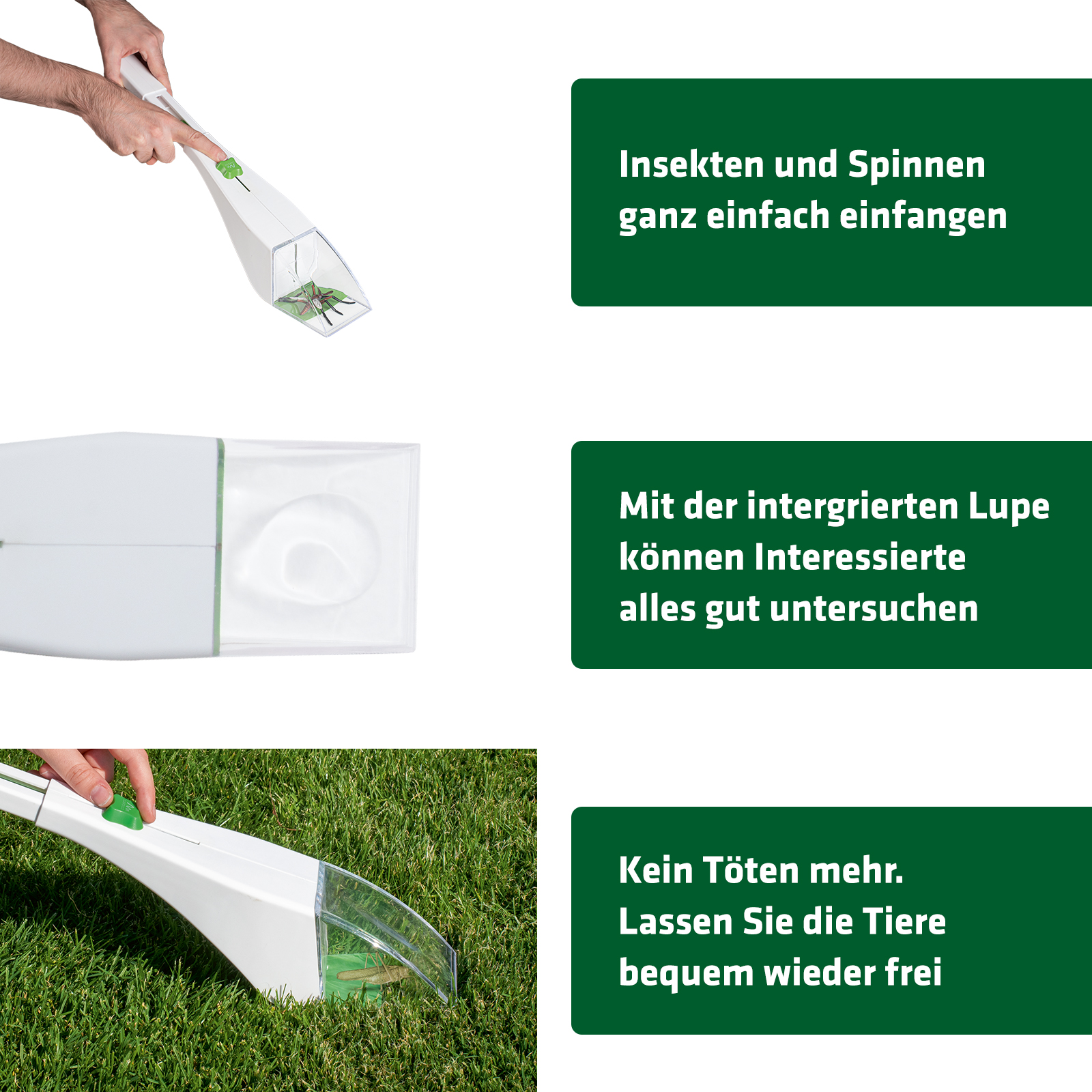 Insect Catcher | catch spiders and beetles