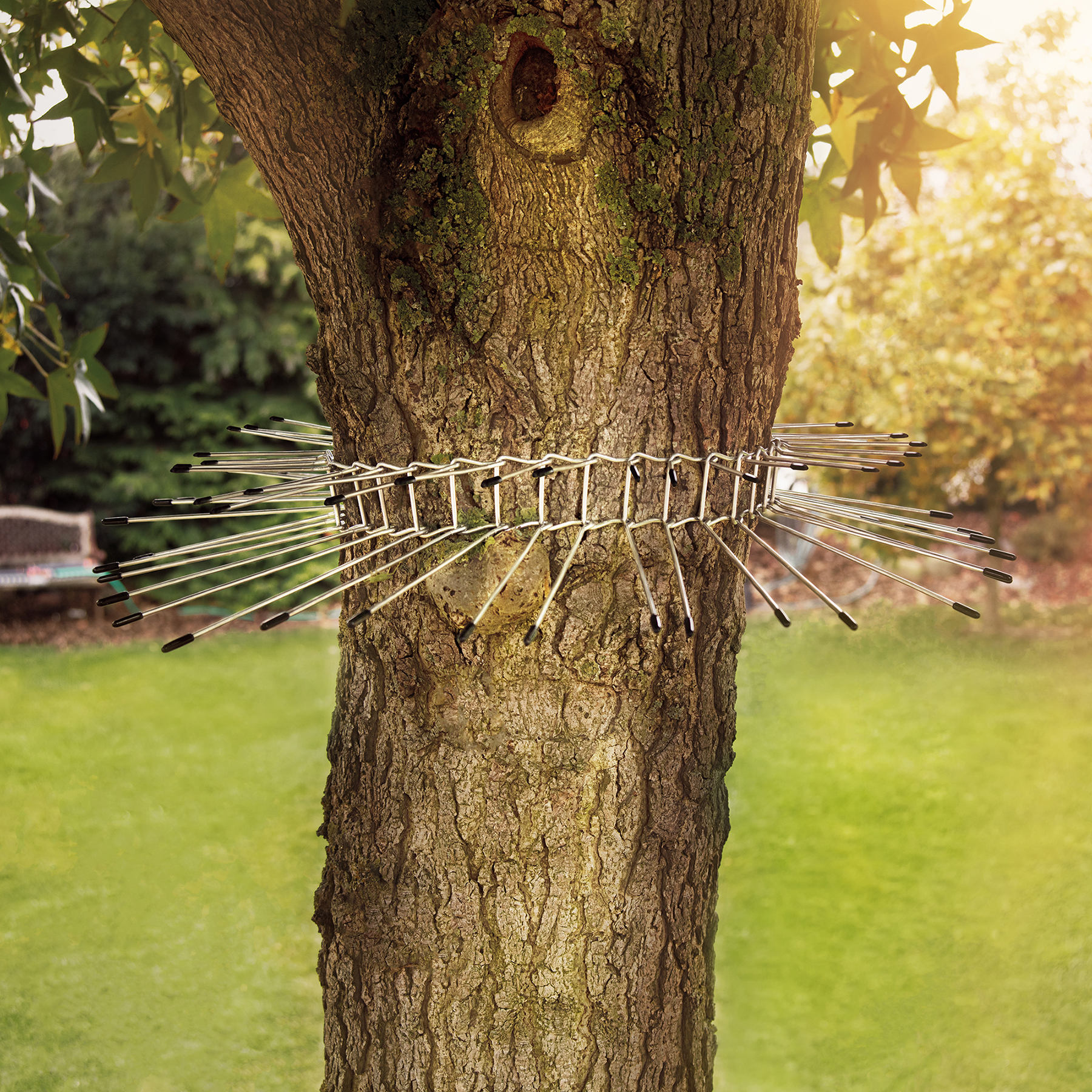 GARDIGO Cat Tree Barrier spike belt
