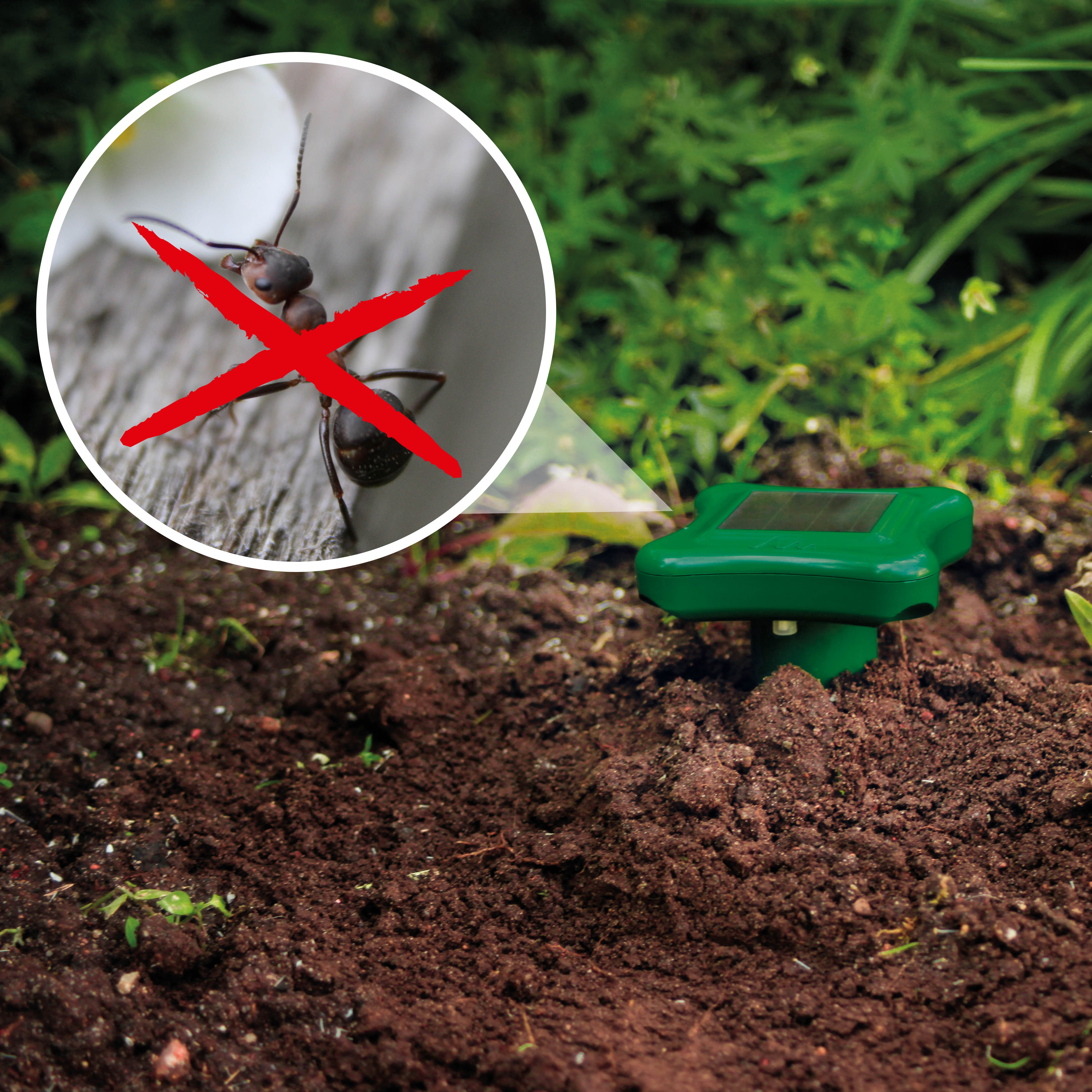 GARDIGO solar ant repellent