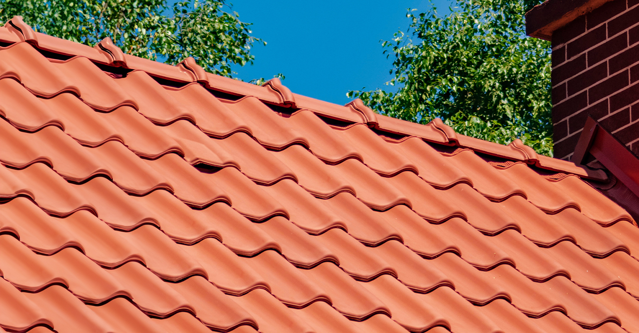 bird repellents for the roof