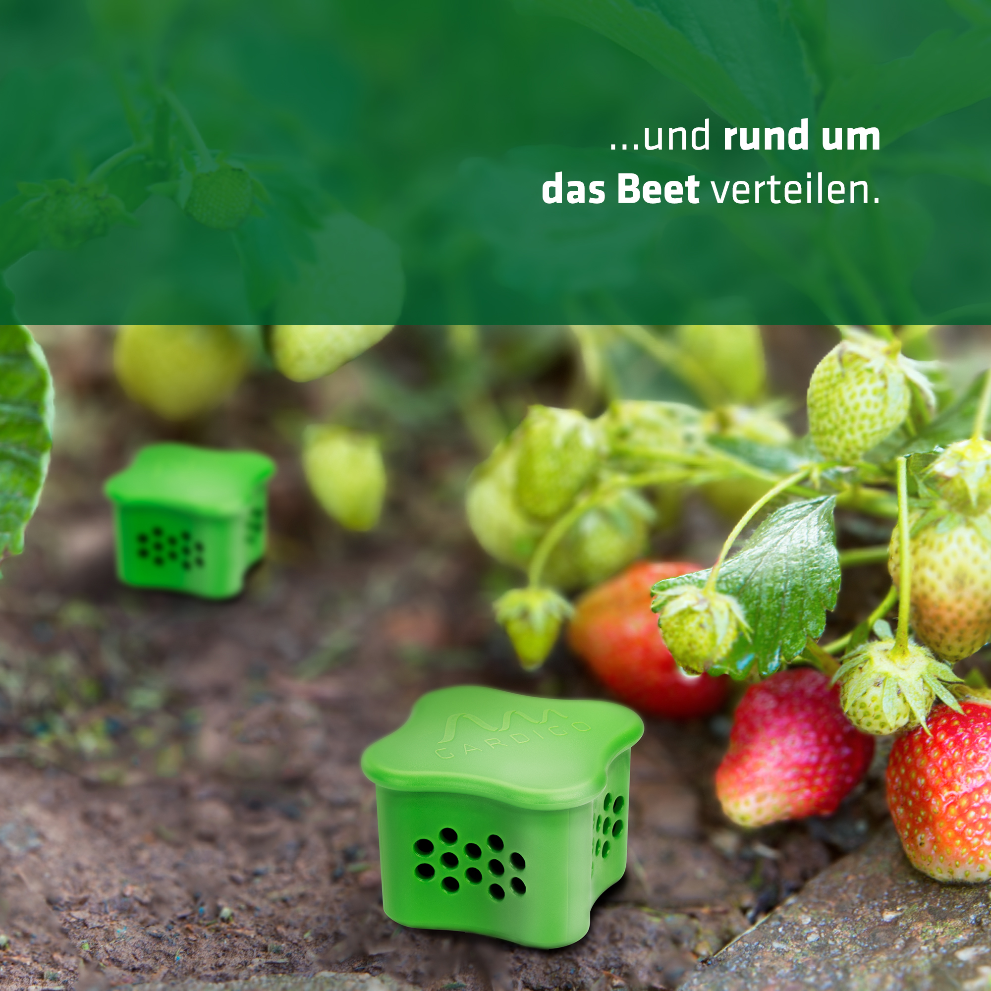 Slug Repellent Coffee | Set of 6 protective pods for animal repellents | With earth stakes
