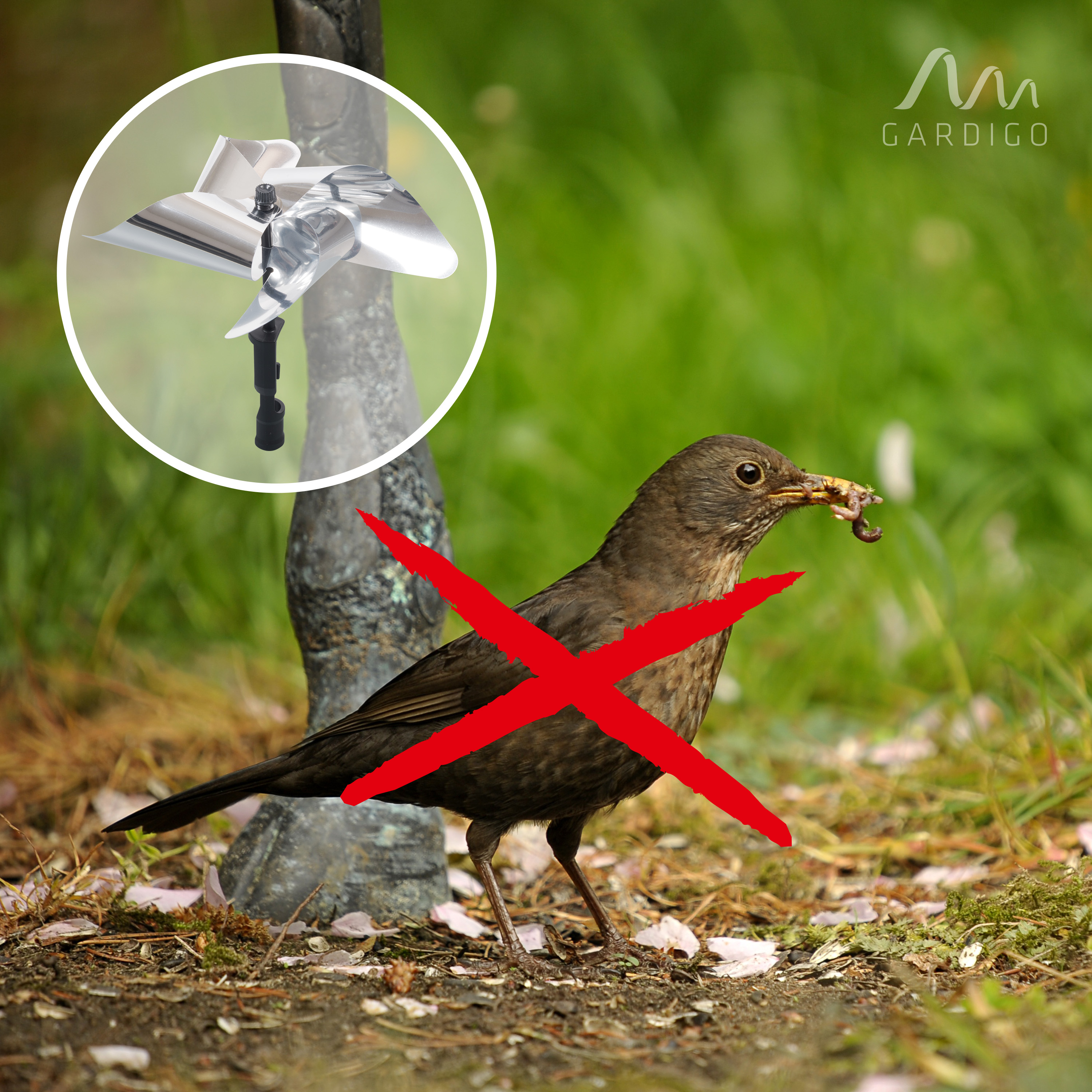 Bird-Scare Wind Wheel