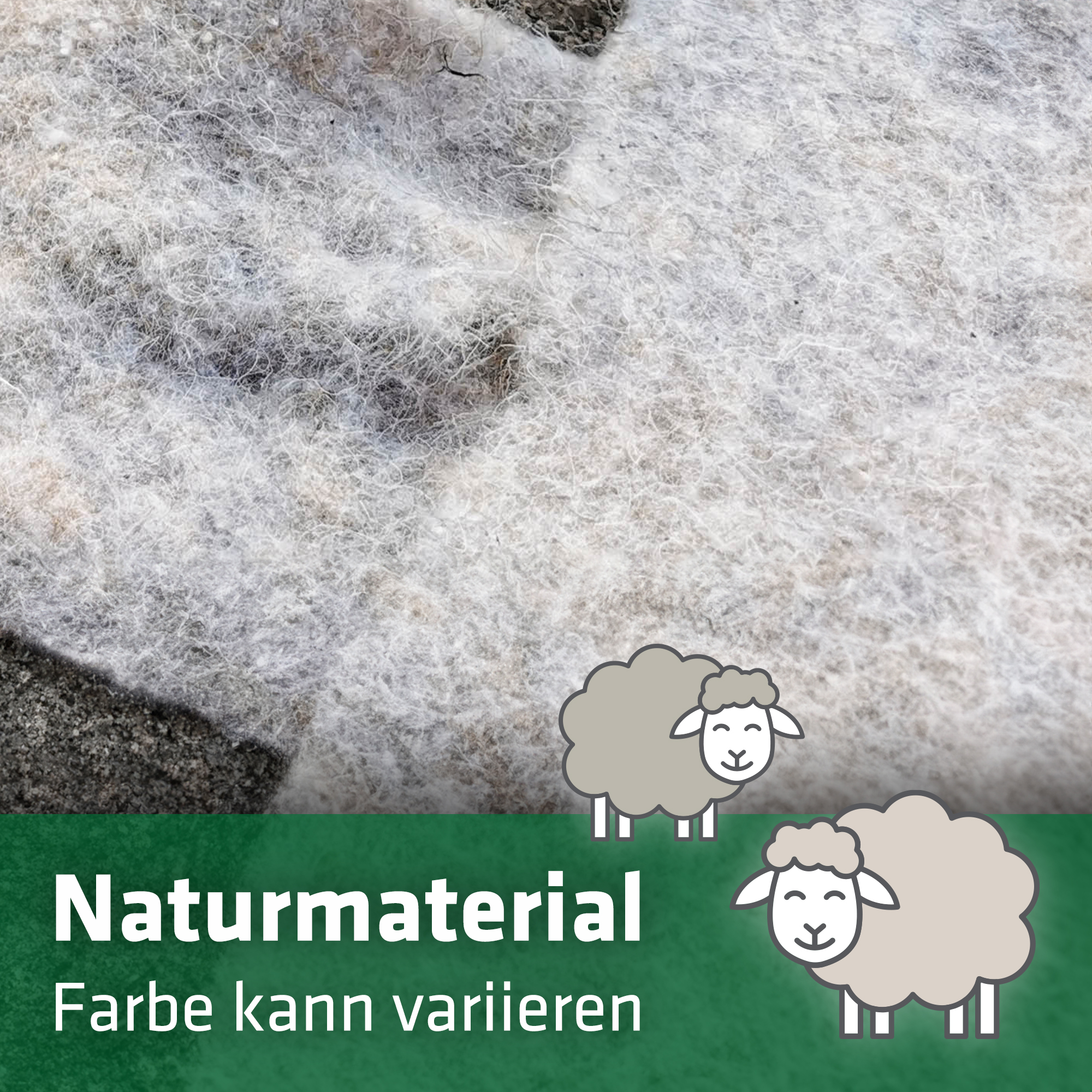 Die Farbe des Schneckenschutes kann variieren, da es sich um ein Naturmaterial handelt