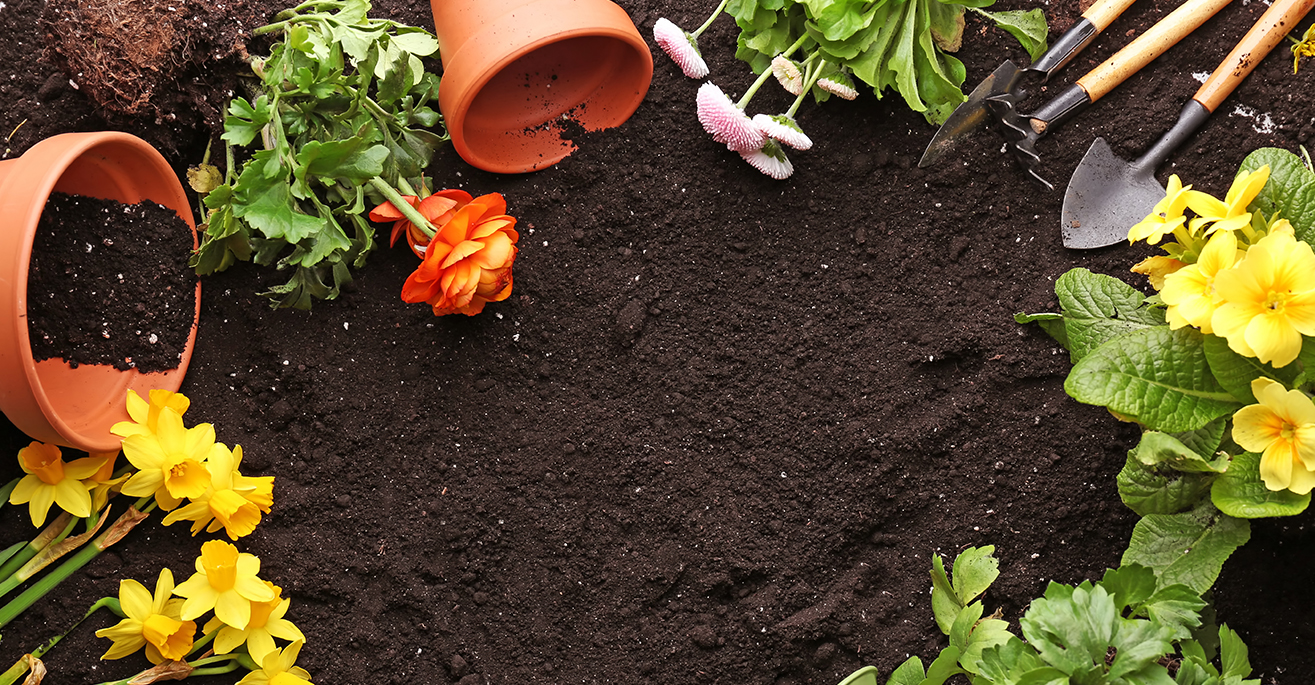 deterrents for garden beds