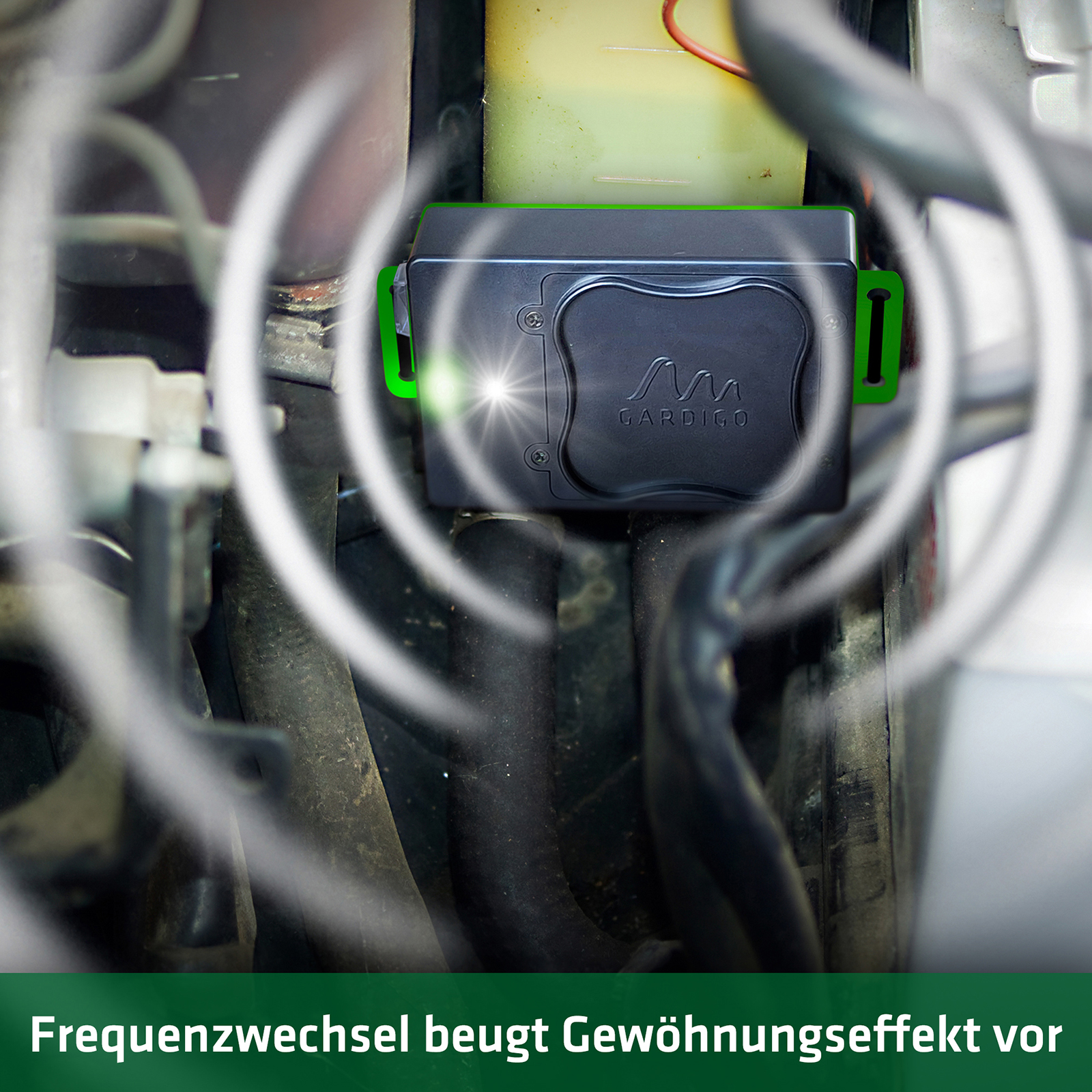 Anti-Martin Flex | repeller for electric cars & vehicles with combustion engine
