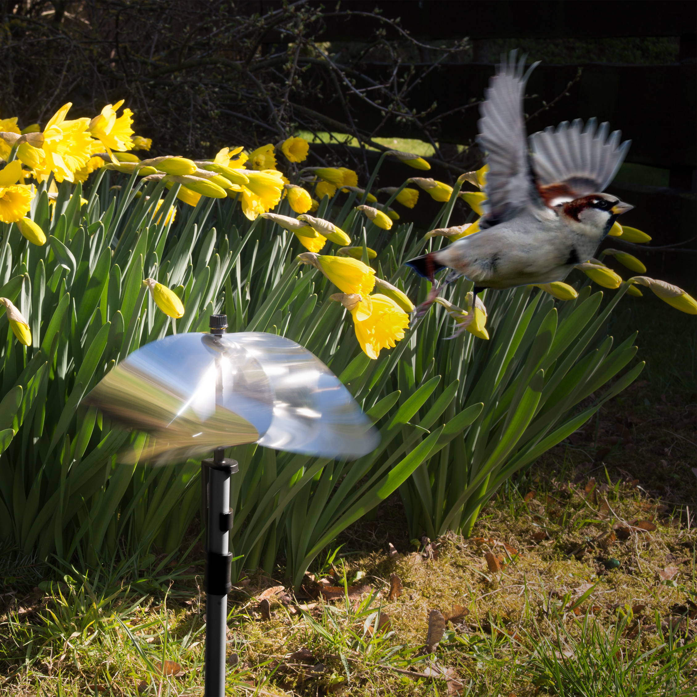 Bird-Scare Wind Wheel