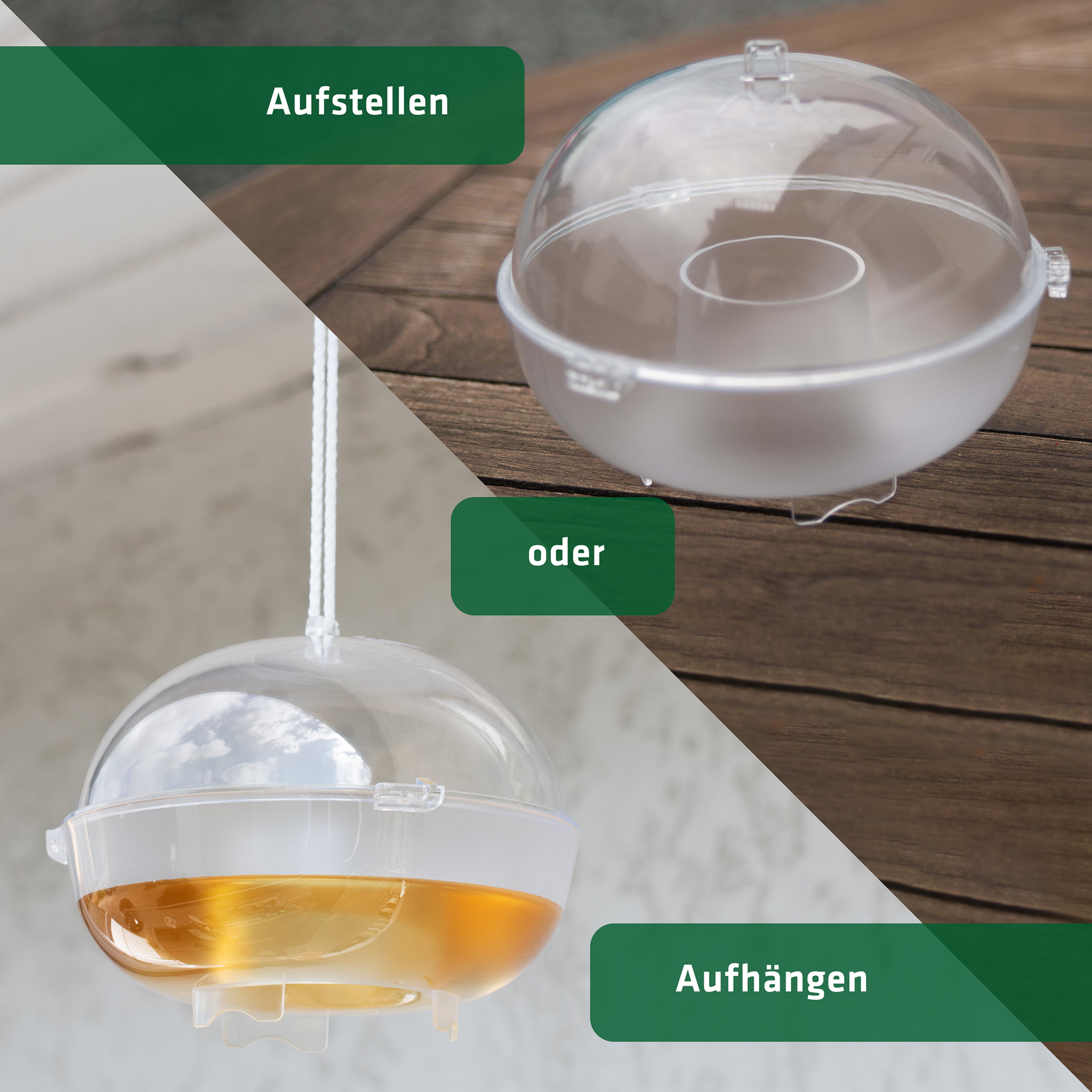 Wasp Trap | Set of 2
