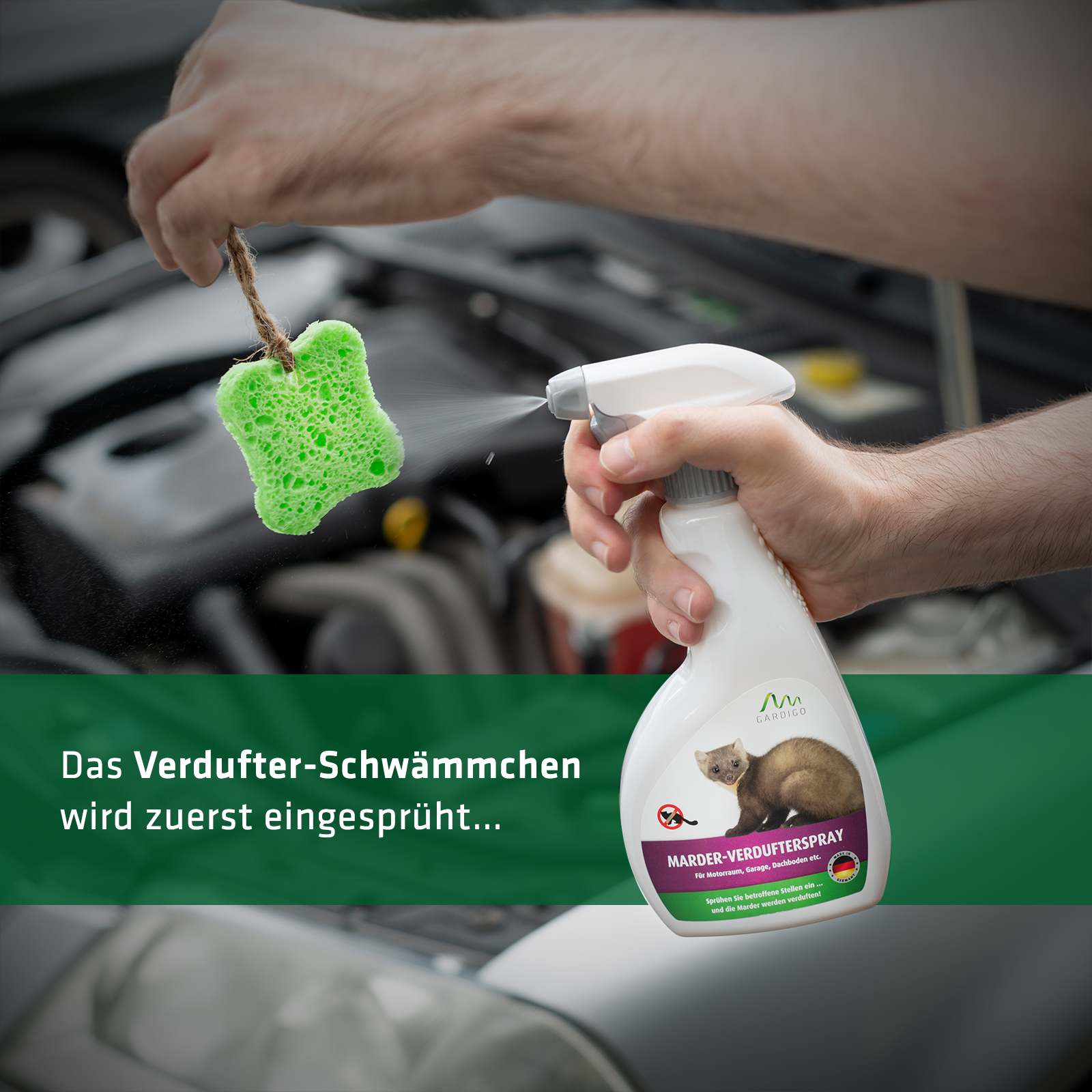 Das Spray gegen Marder im Auto wird auf den Schwamm aufgesprüht.