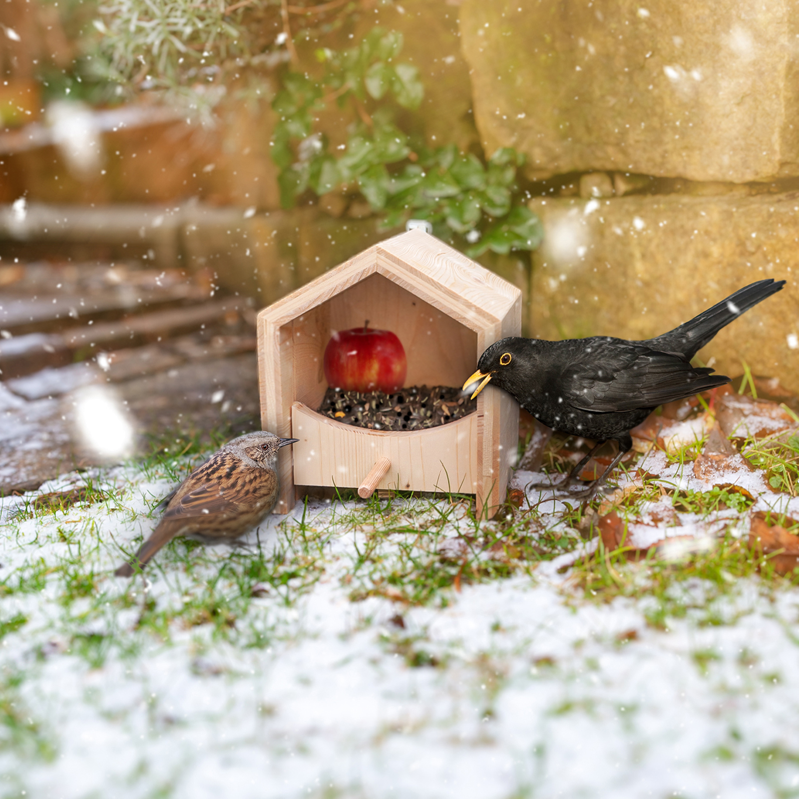 Einige Vögel wie die Amsel oder die Heckenbraunelle fressen am liebsten in Bodennähe. Auch so kann man das Futterhaus einsetzen.