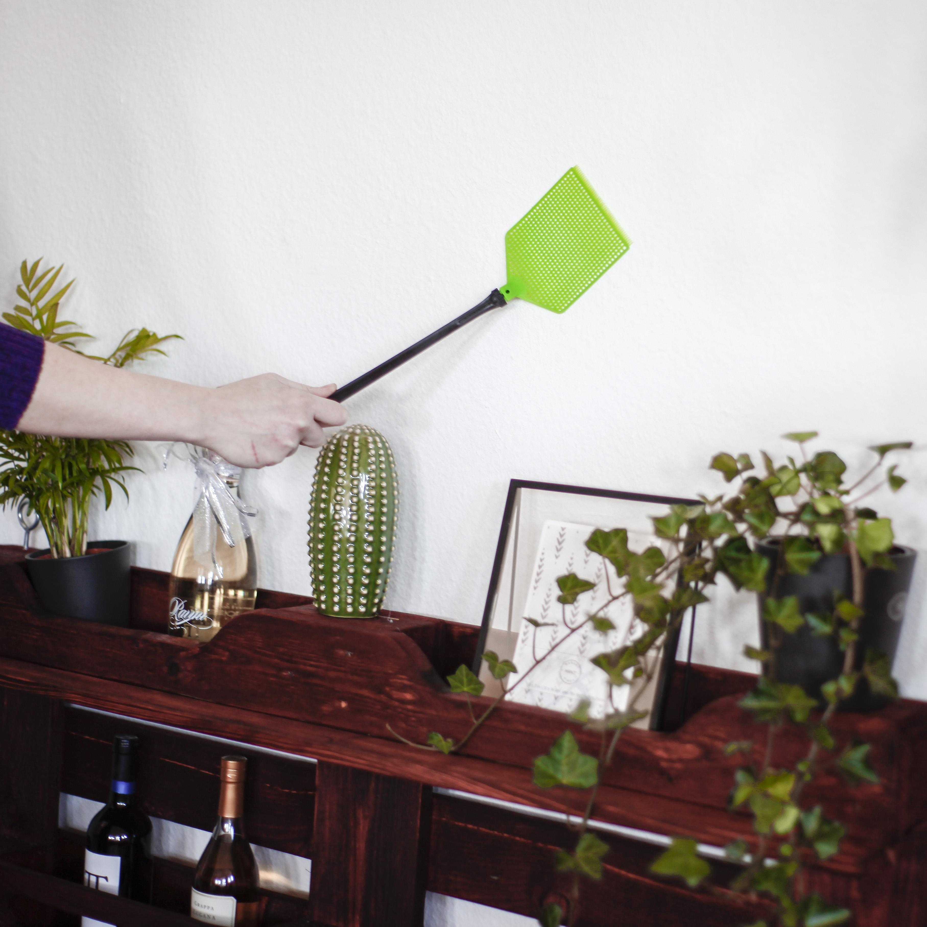 Fly Swatter, set of 2