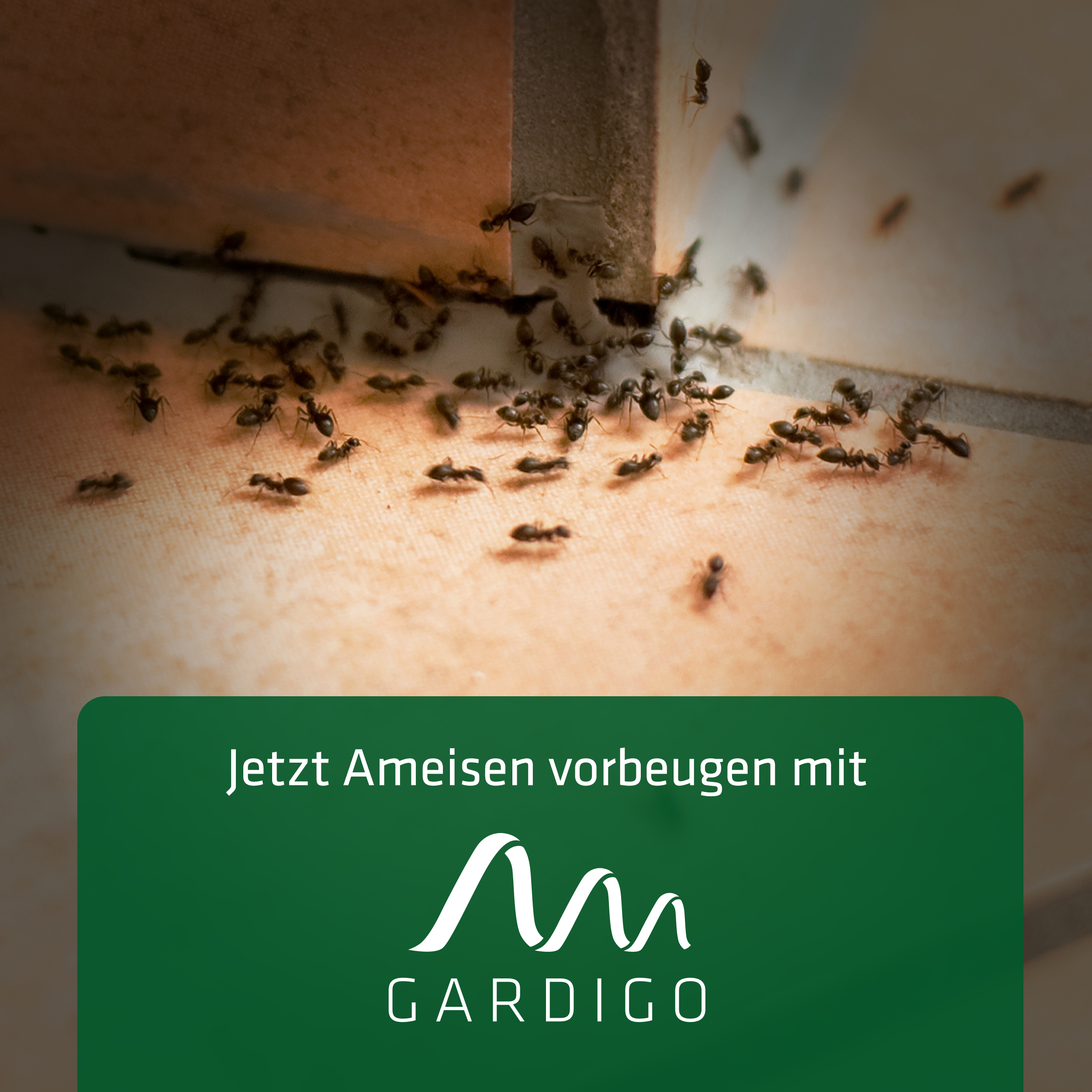 Ant-Repellent | ultrasonic deterrent