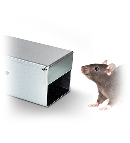 rat bait stations