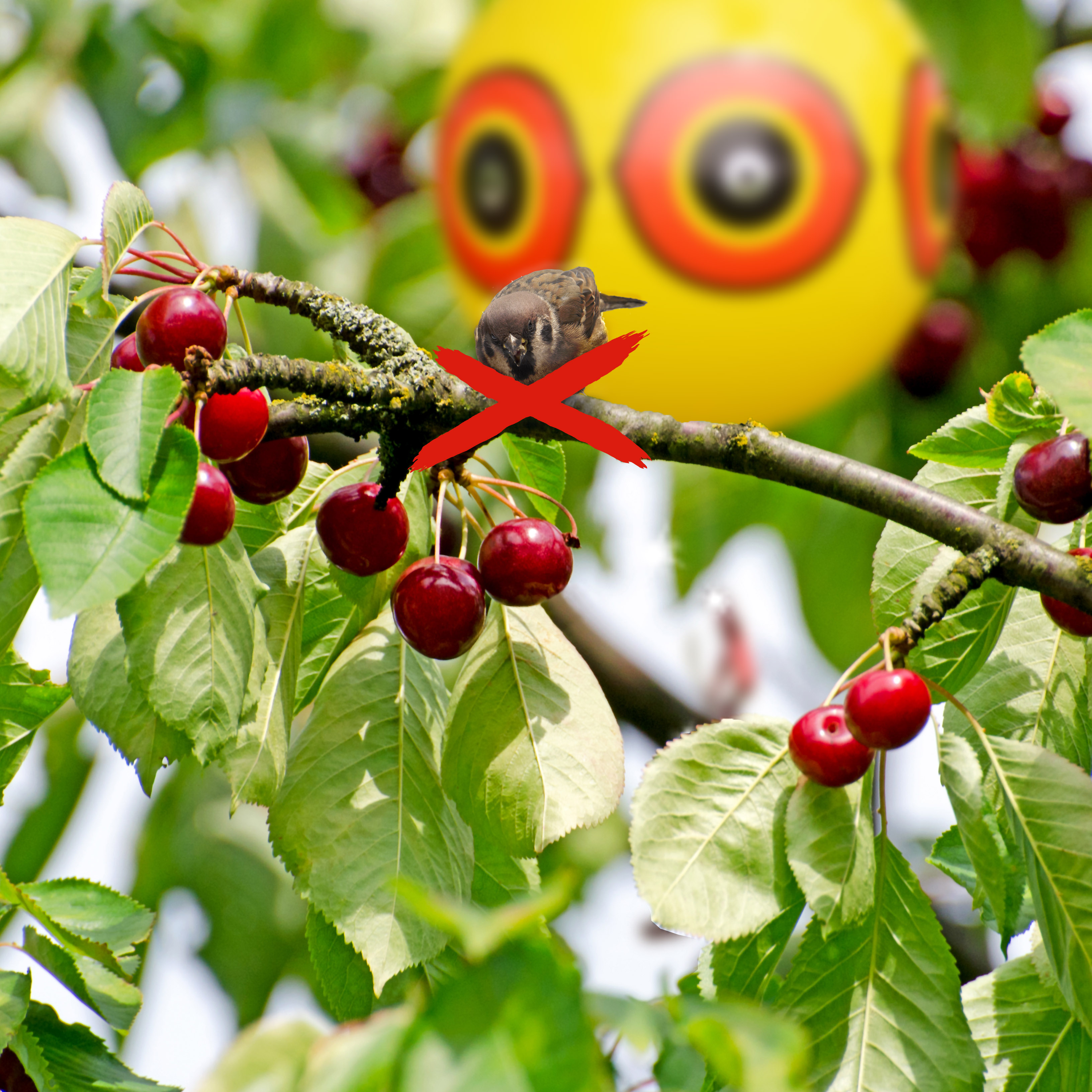 Bird & Heron Repellent Balloon | set of 2