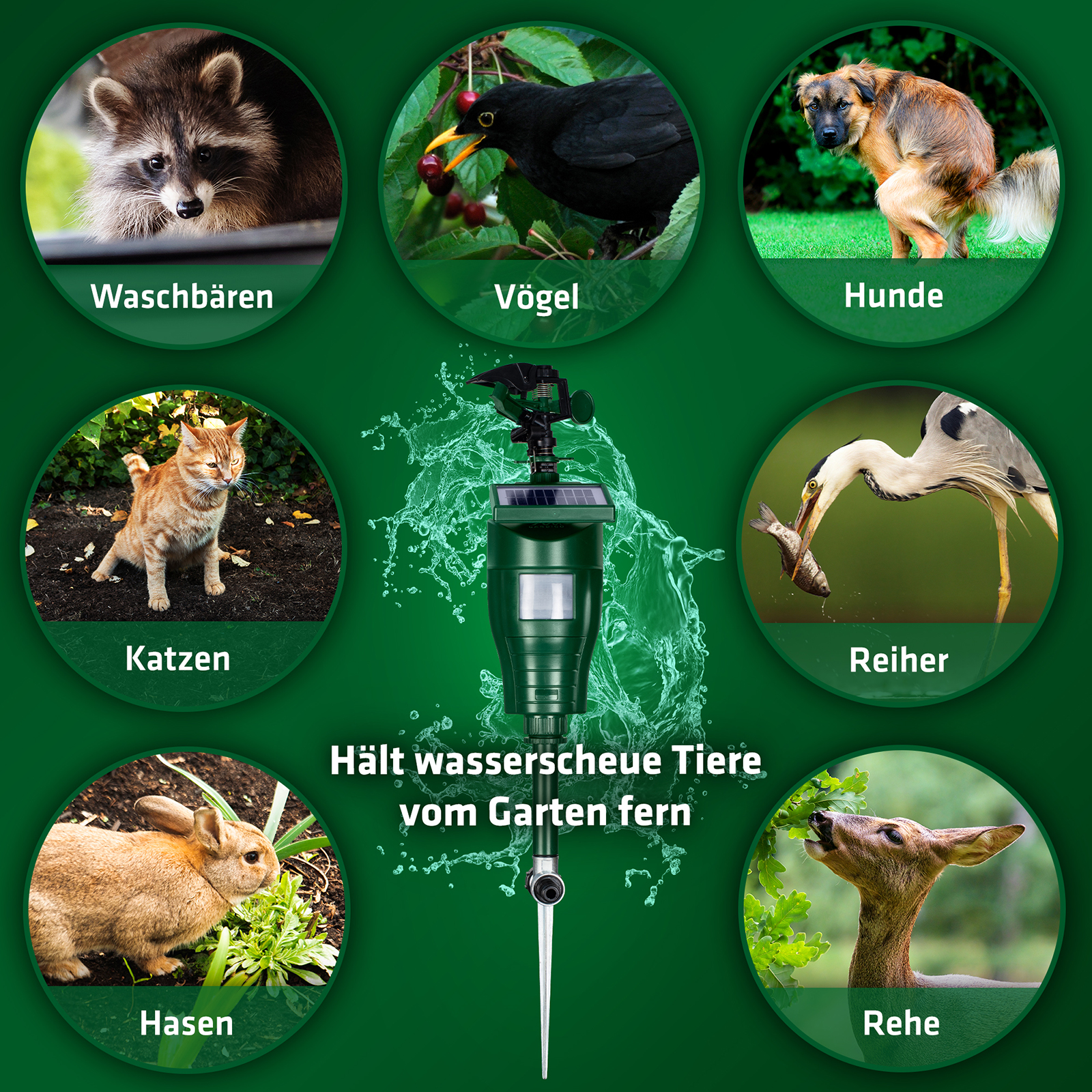 Hunde-, Katzen- & Reiherschreck mit Wasser