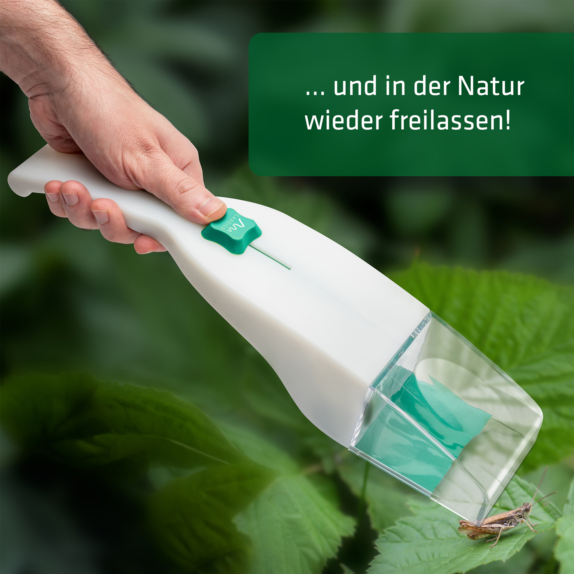 Insect & spider catcher | with magnifier | extra large