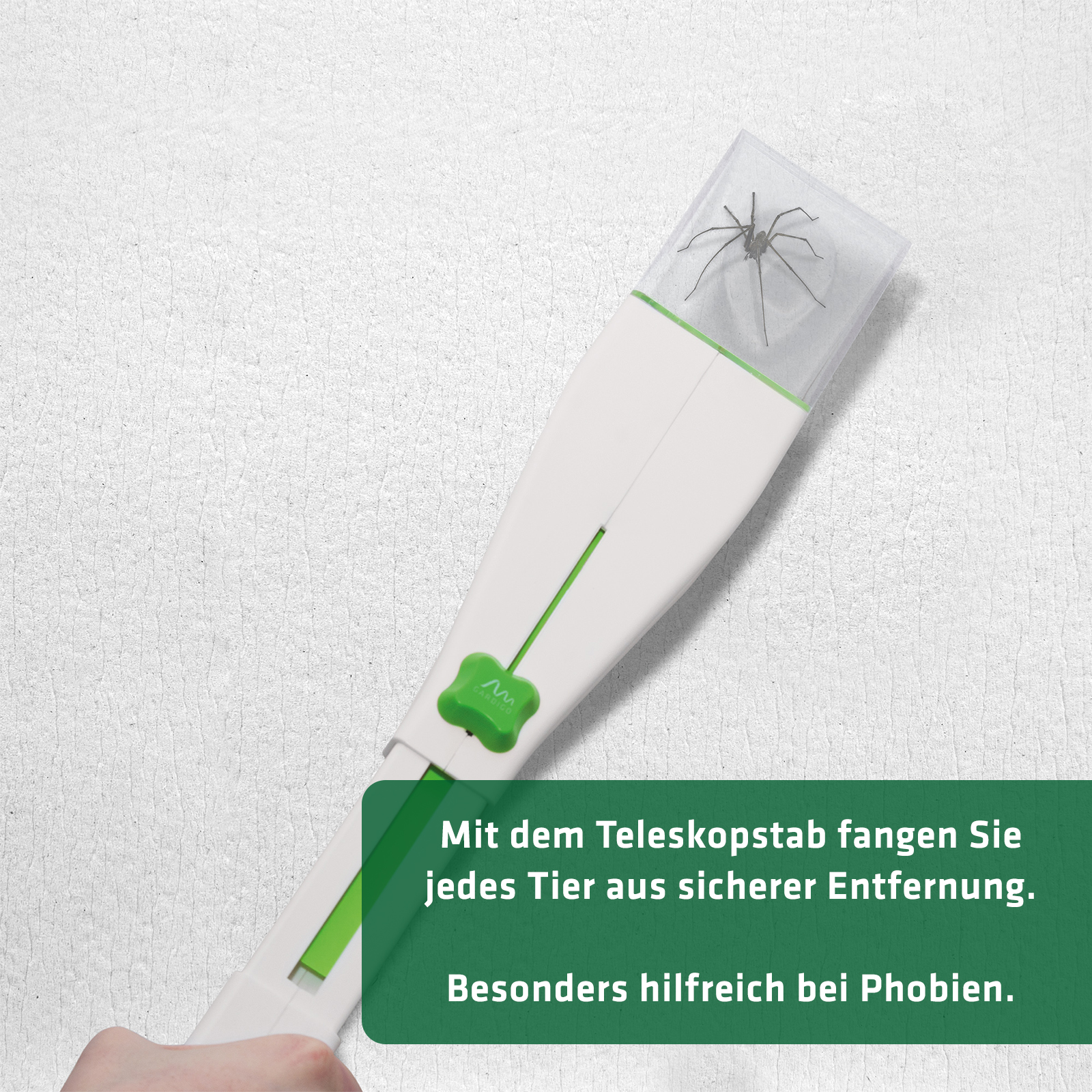 Insect Catcher | catch spiders and beetles