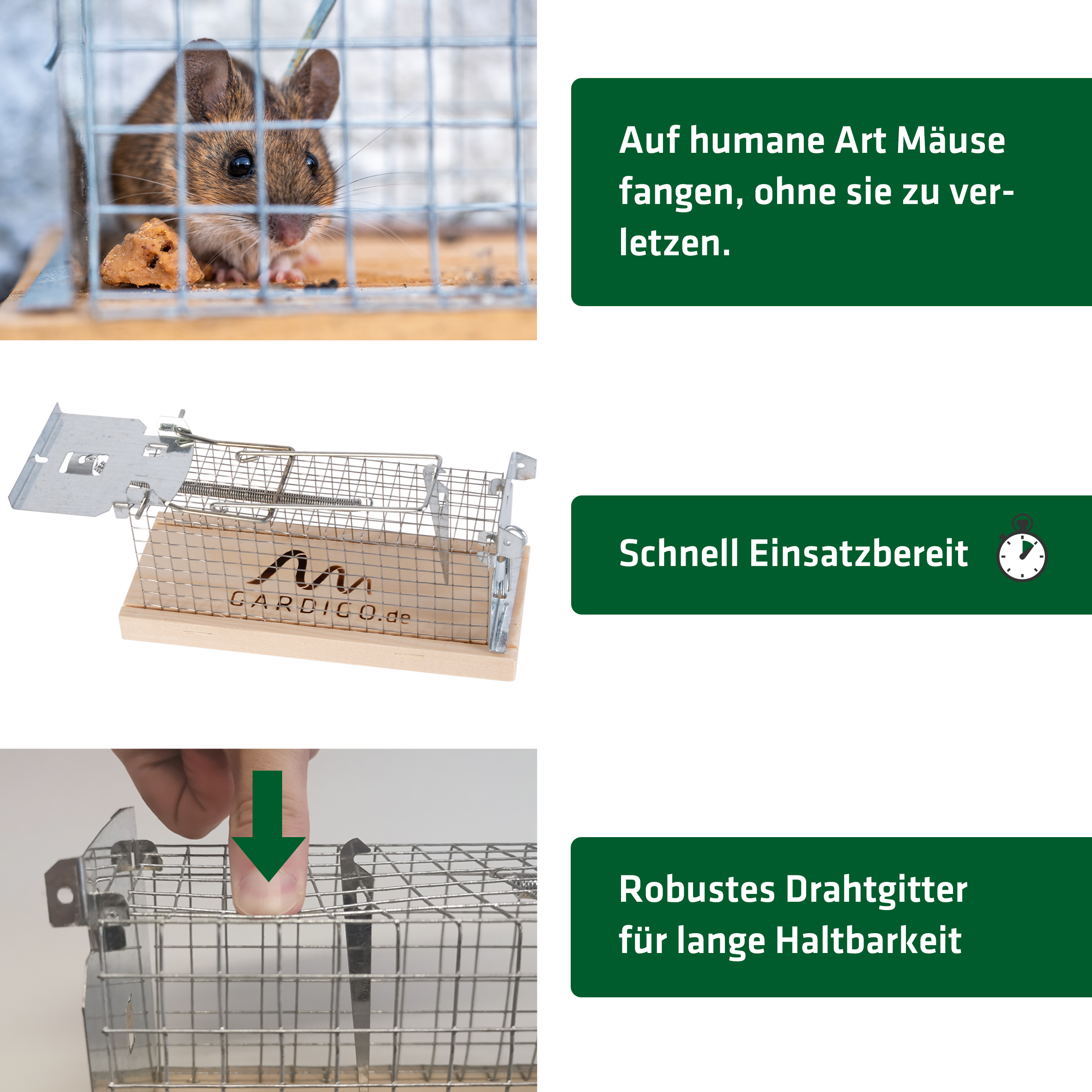 GARDIGO live mouse trap in a set of 2