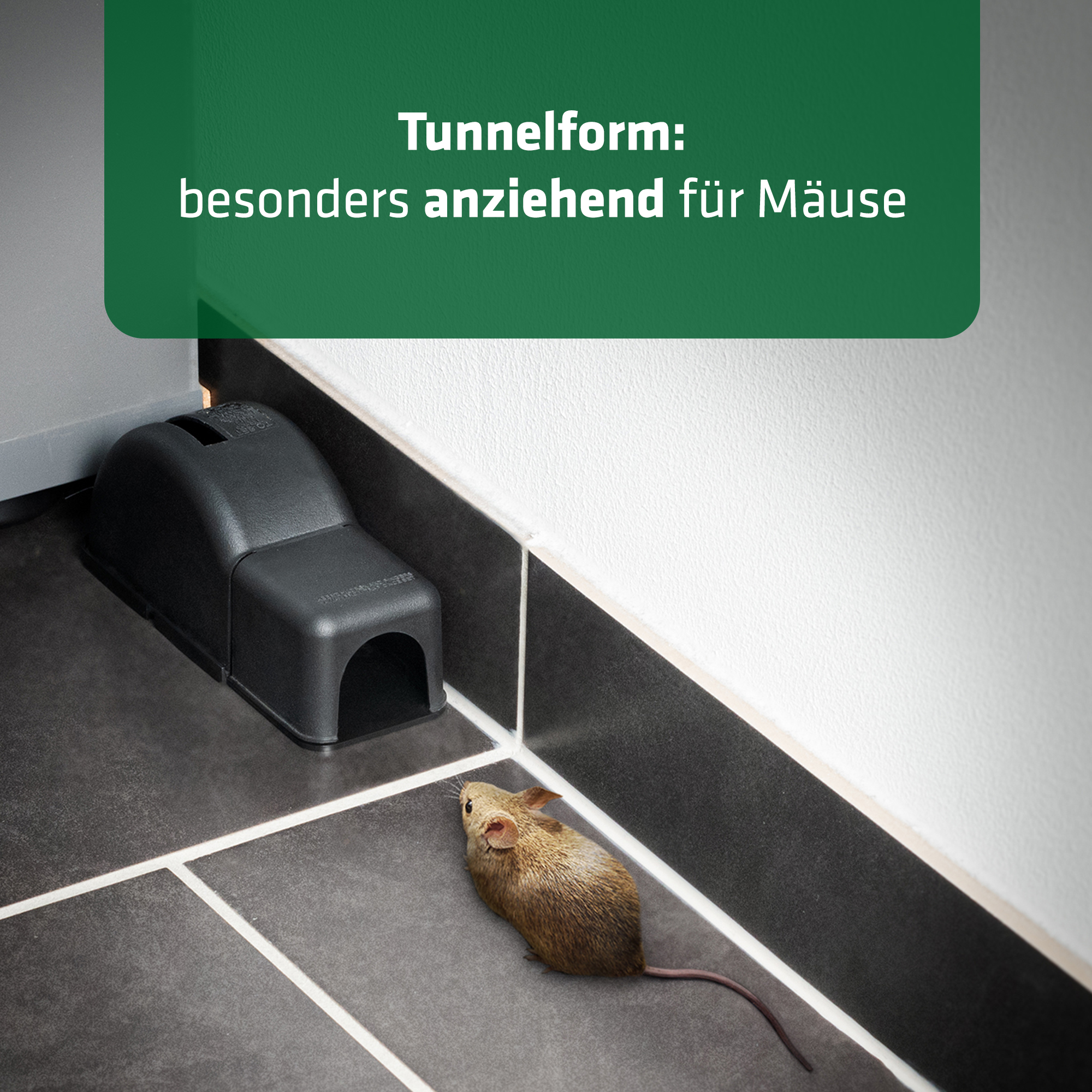 Mouse trap 2.0 | tunnel trap with safety enclosure | set of 4