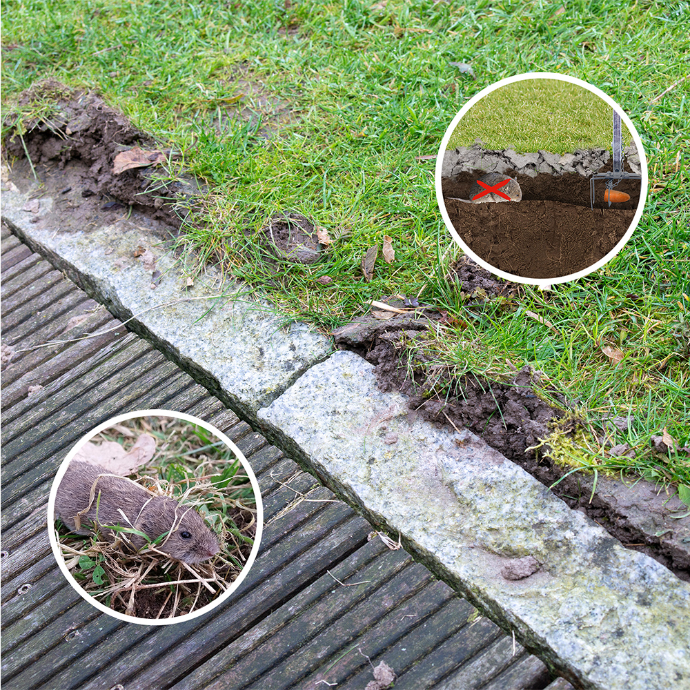 Set of 4 GARDIGO vole traps