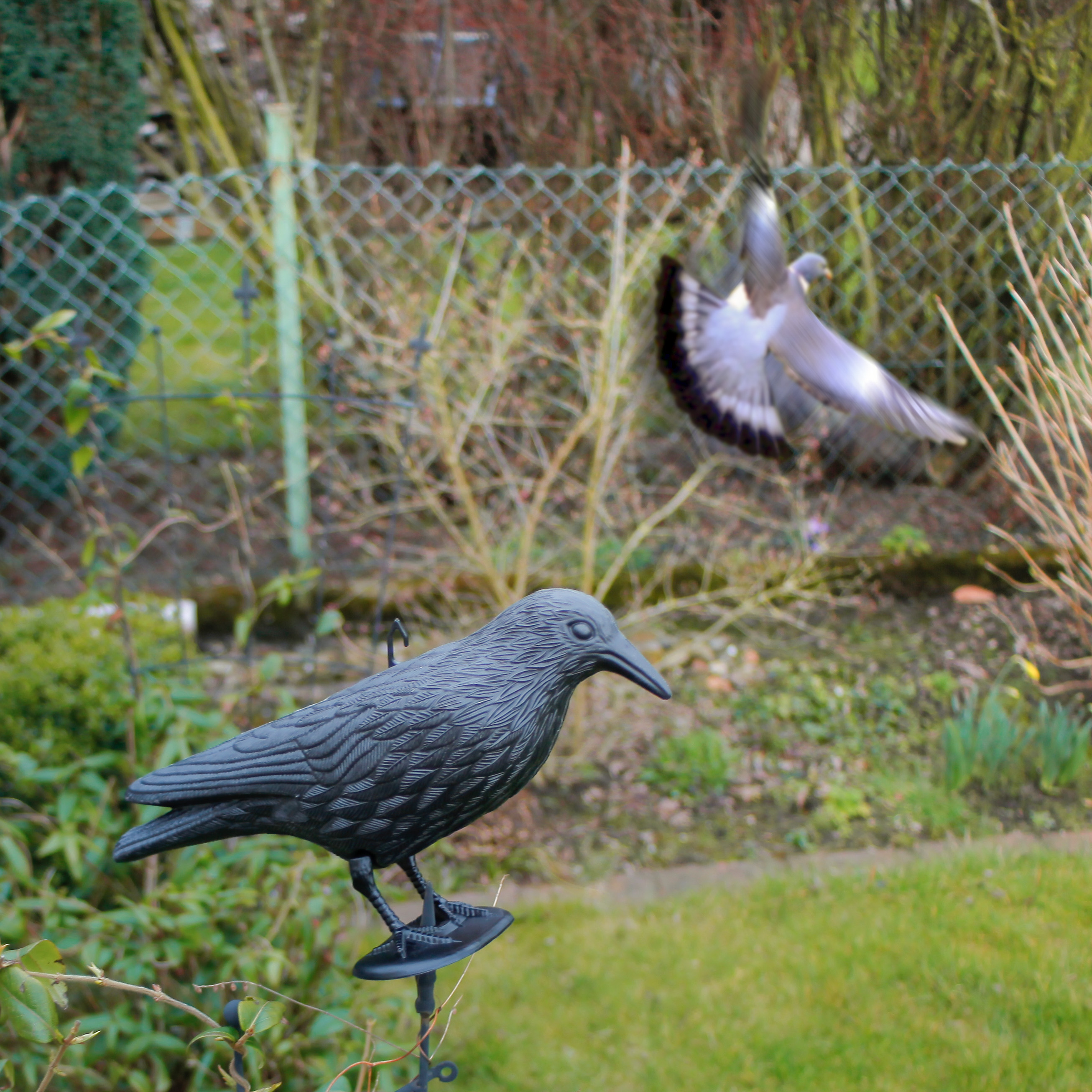 Pigeon repellent scarecrow