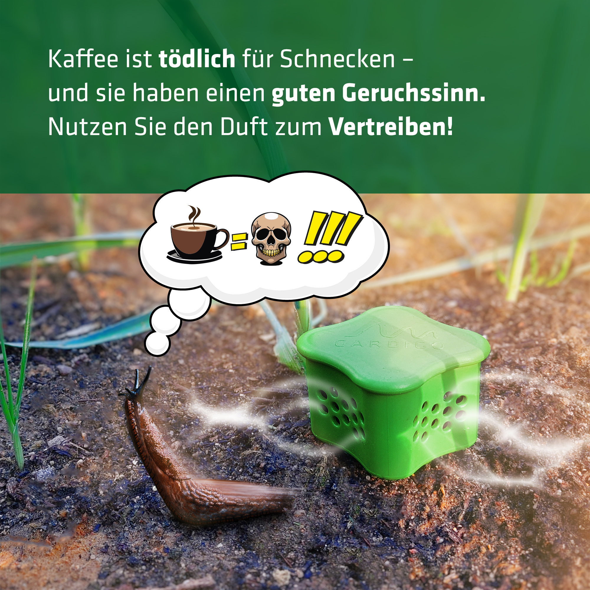 Slug Repellent Coffee | Set of 6 protective pods for animal repellents | With earth stakes