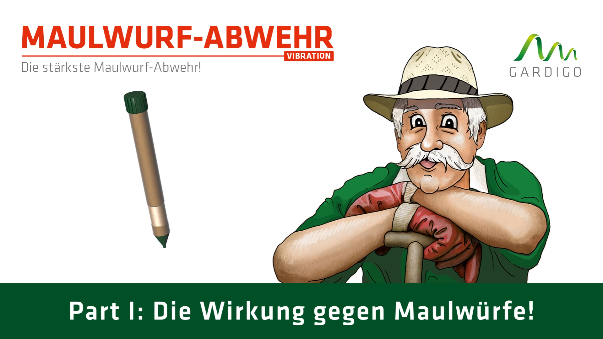 zum Video