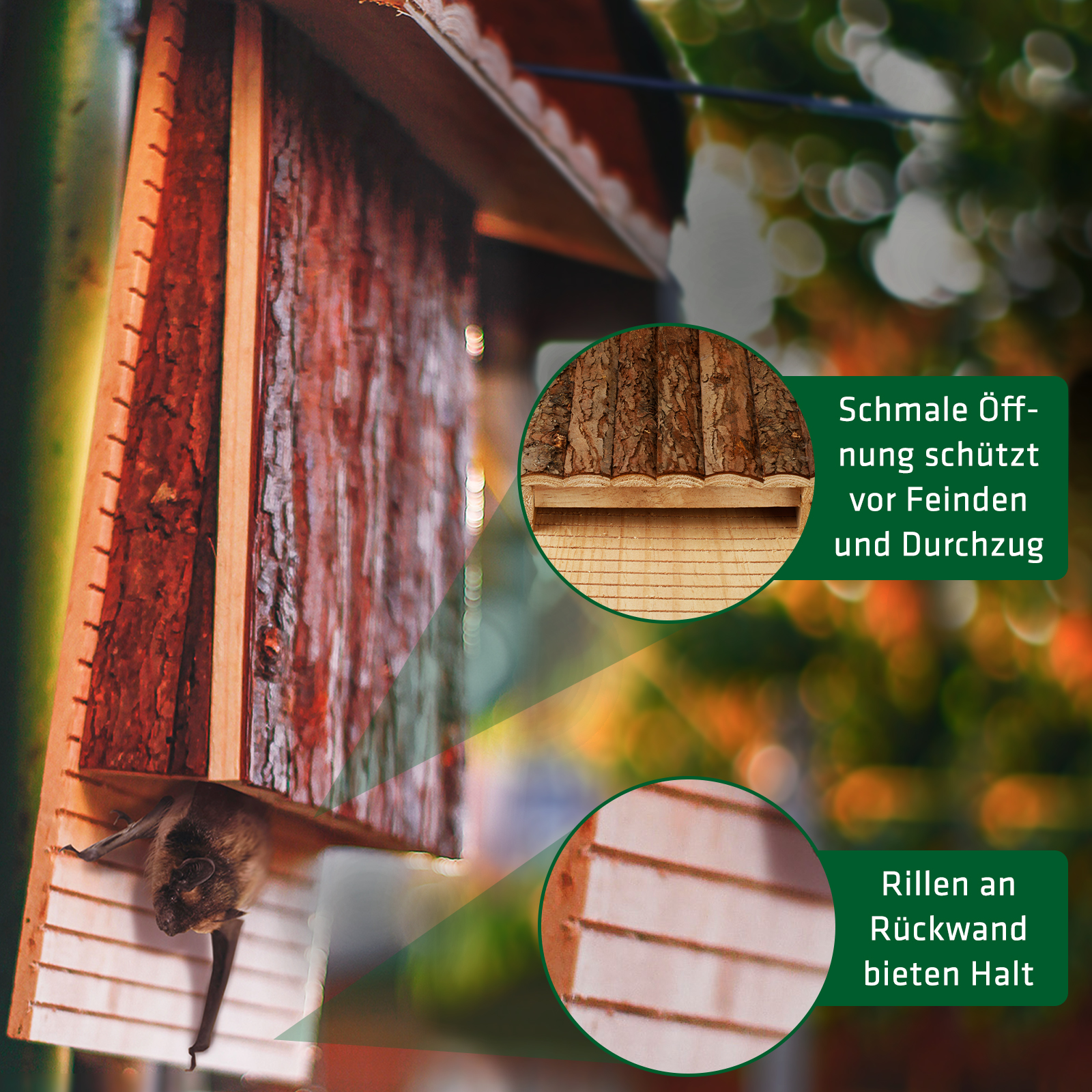 Zusätzlich zu den Rillen im Brett ist die Öffnung schmal und schütz dadurch vor Feinden und Durchzug.