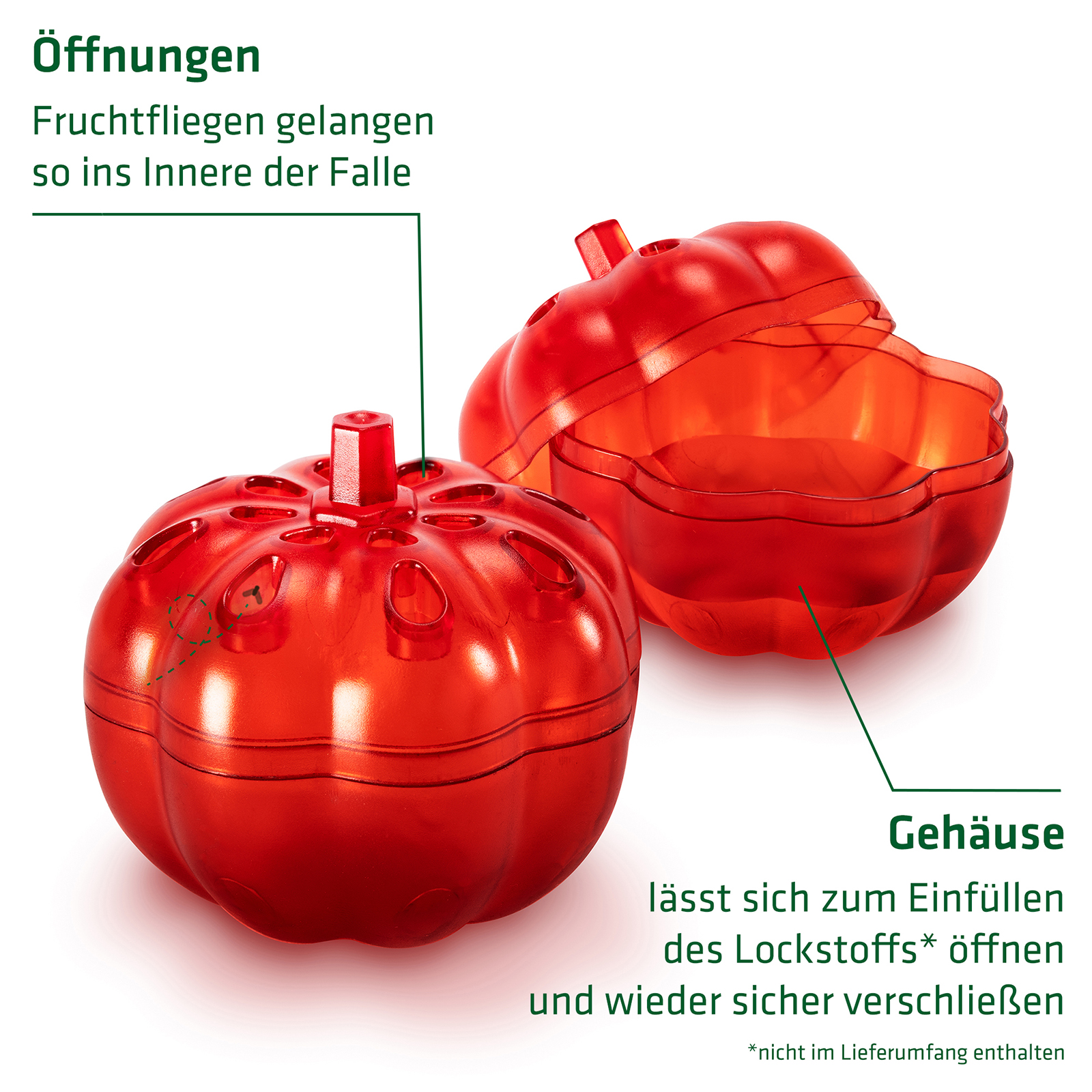 Fruit Fly Trap Mini | Set of 2