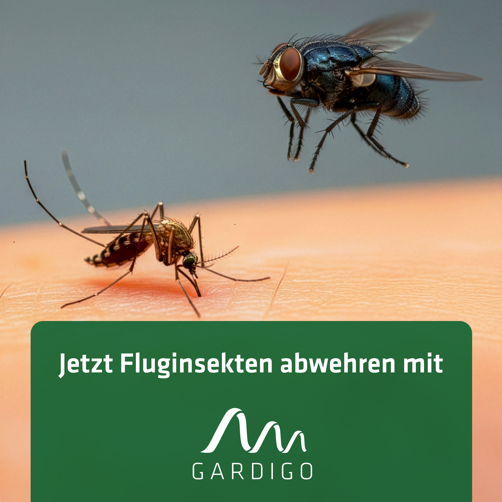 Fluginsekten abwehren mit GARDIGO