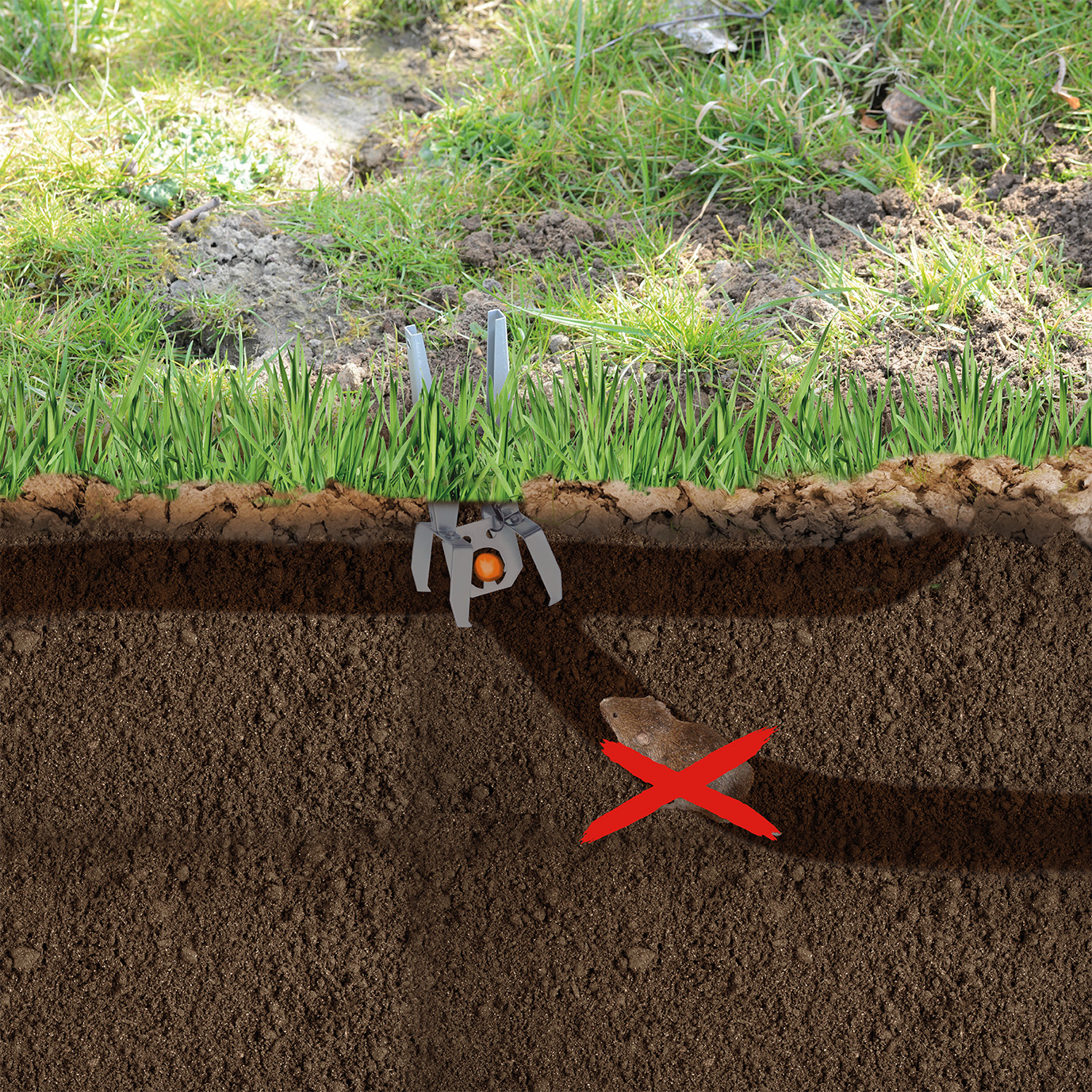 Set of 4 GARDIGO vole traps