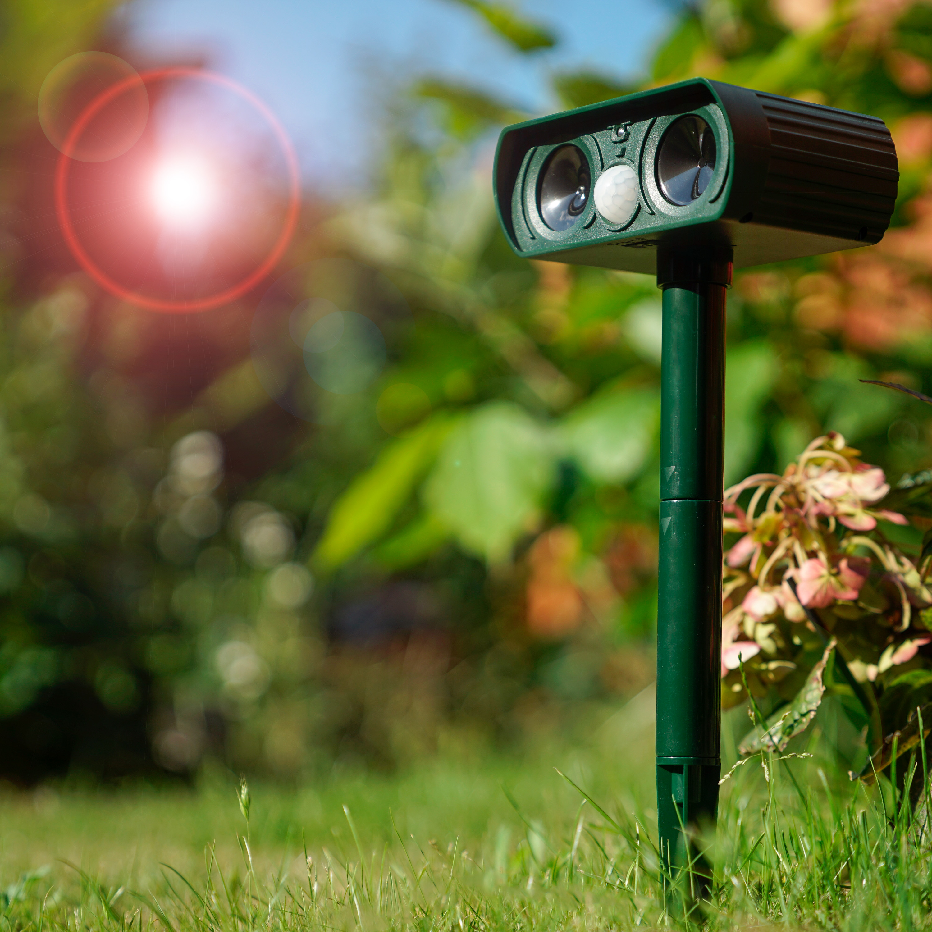 GARDIGO Dual Solar Animal Defense | ultrasonic deterrent
