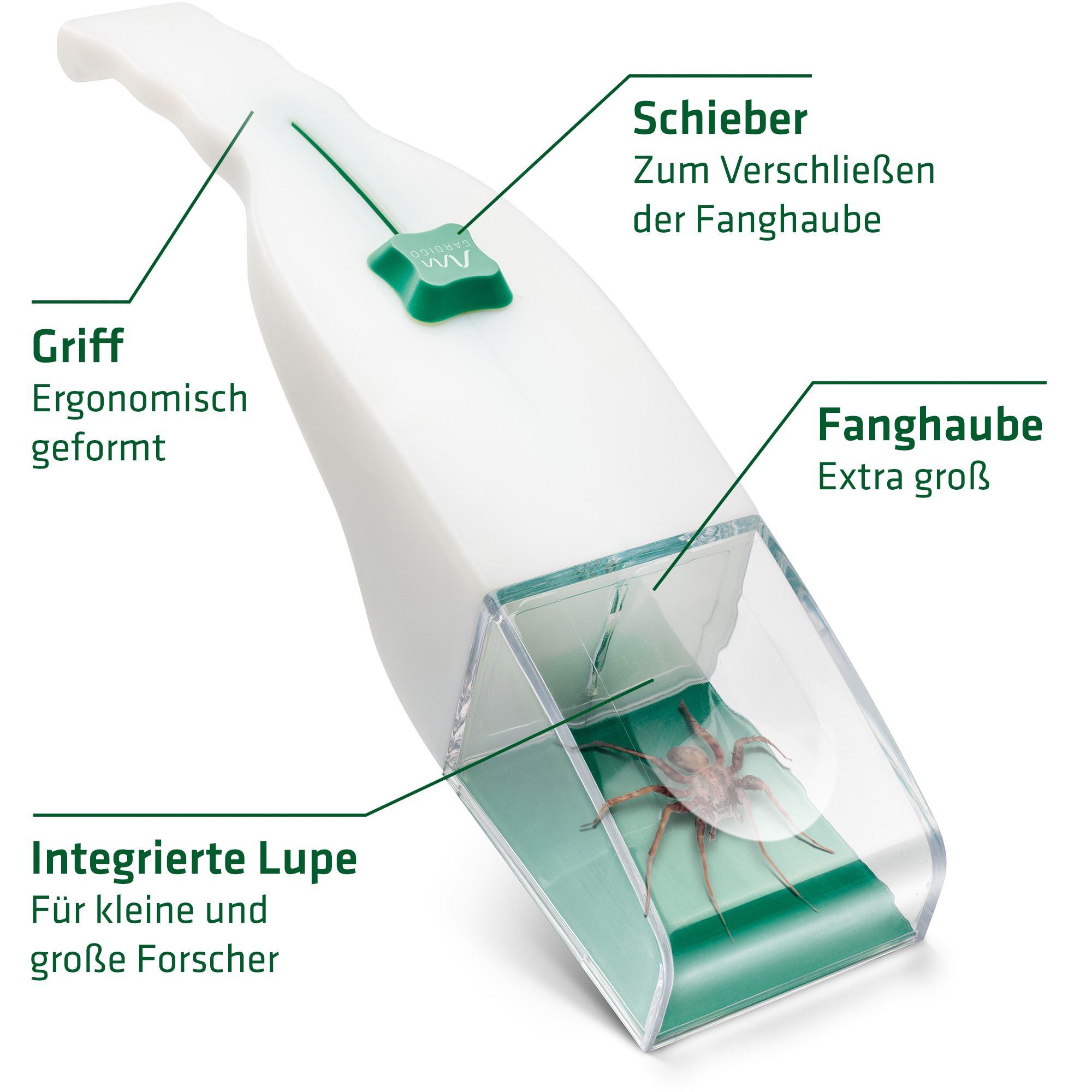 Insect & spider catcher | with magnifier | extra large