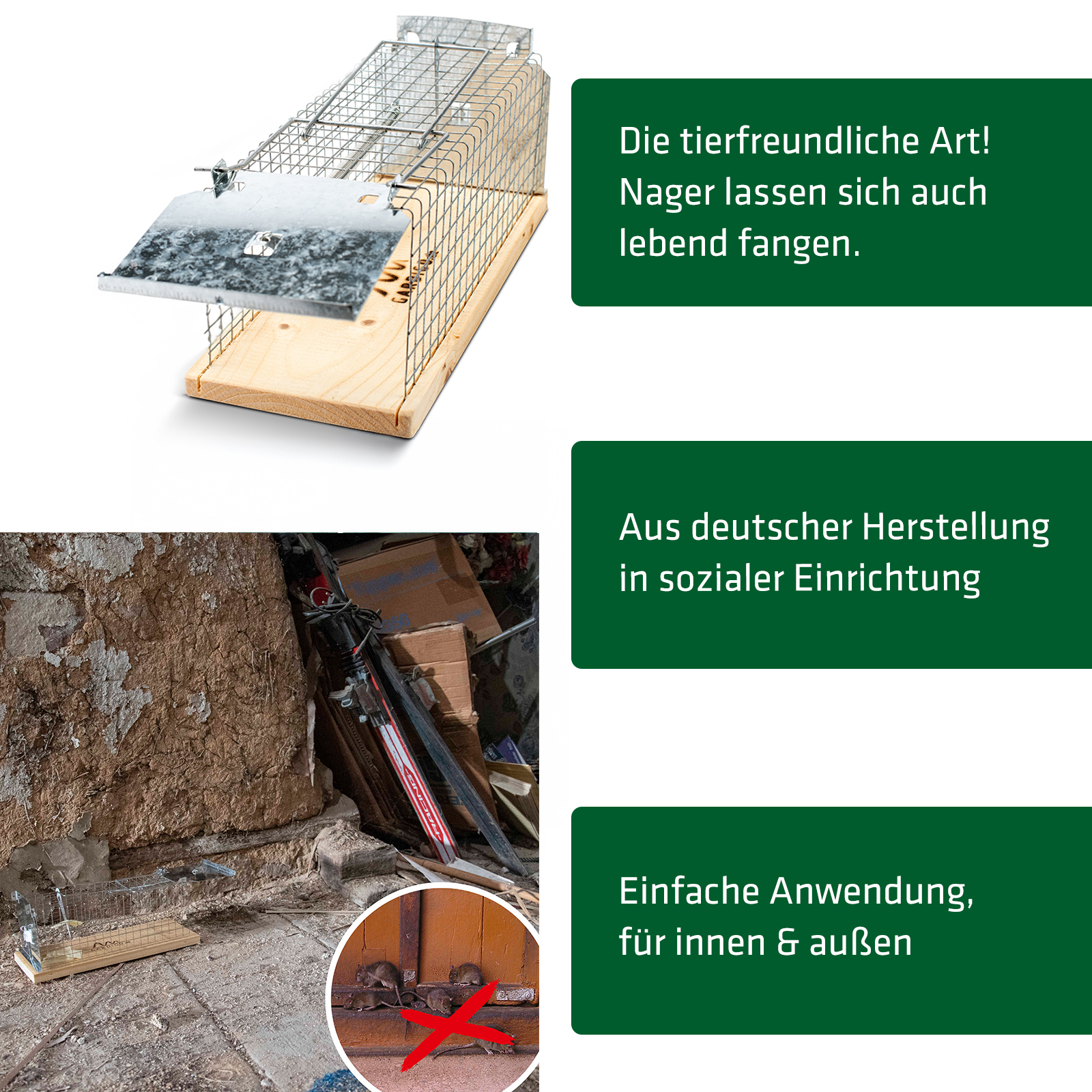 Live Rat Trap | Made in Germany