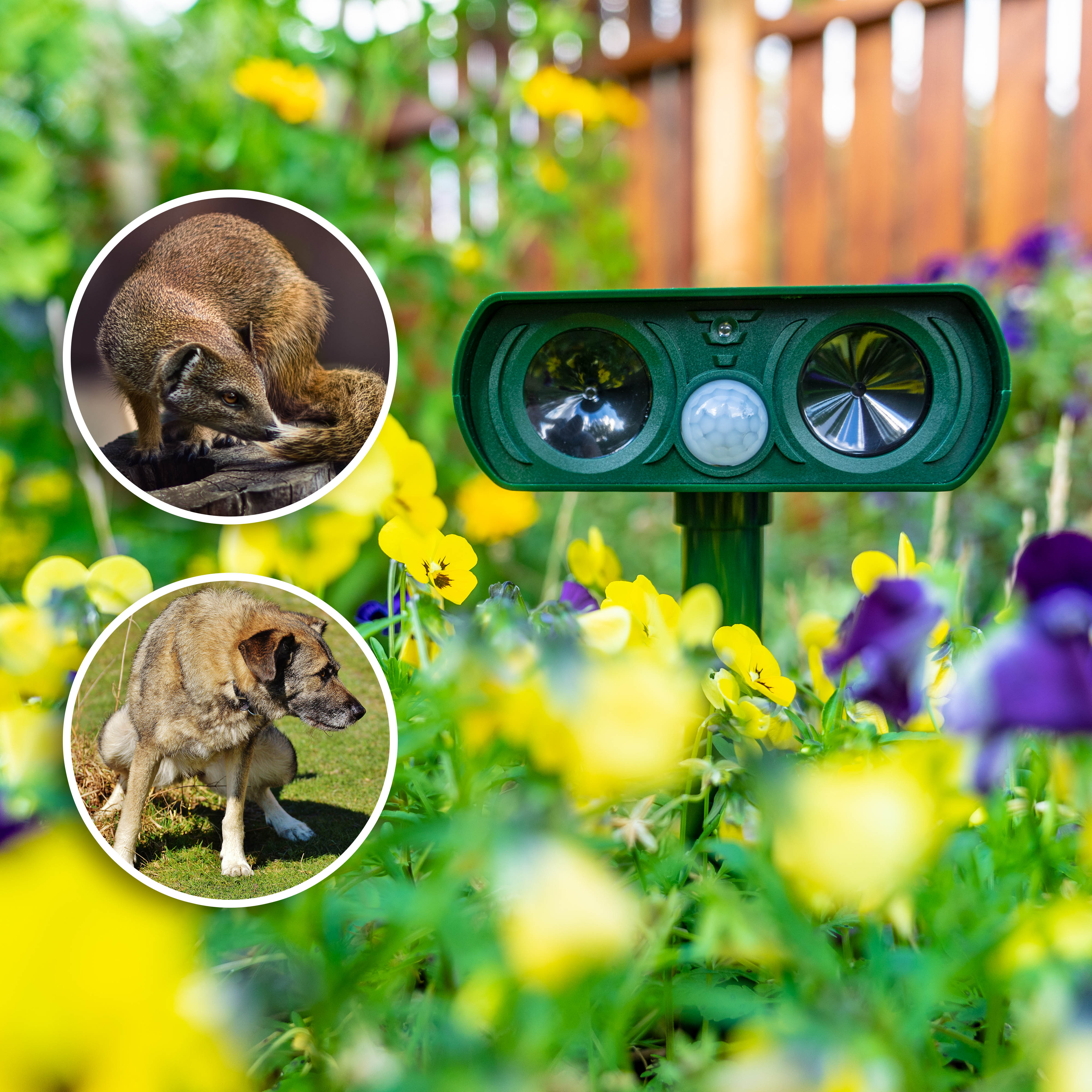 GARDIGO Dual Solar Animal Defense | ultrasonic deterrent