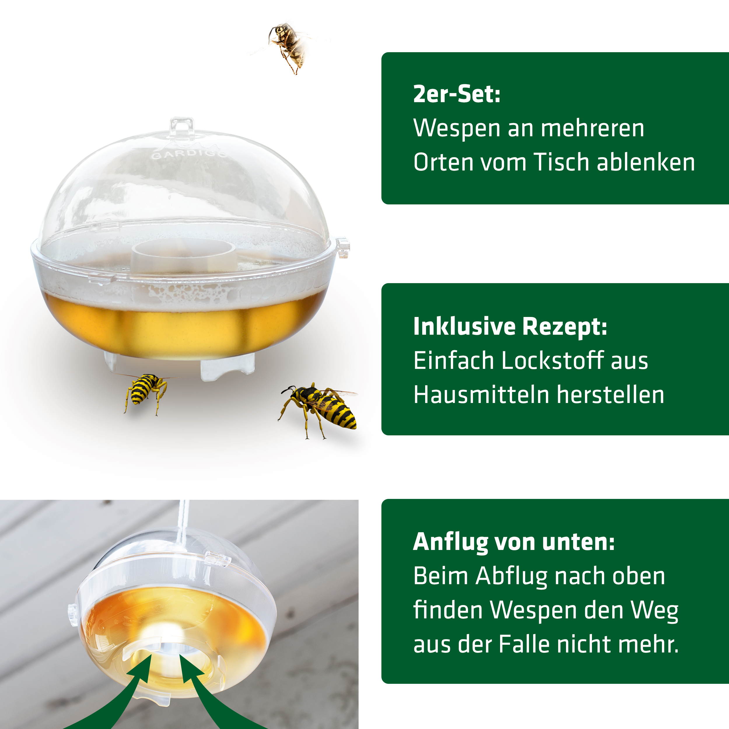 Wasp Trap | Set of 2