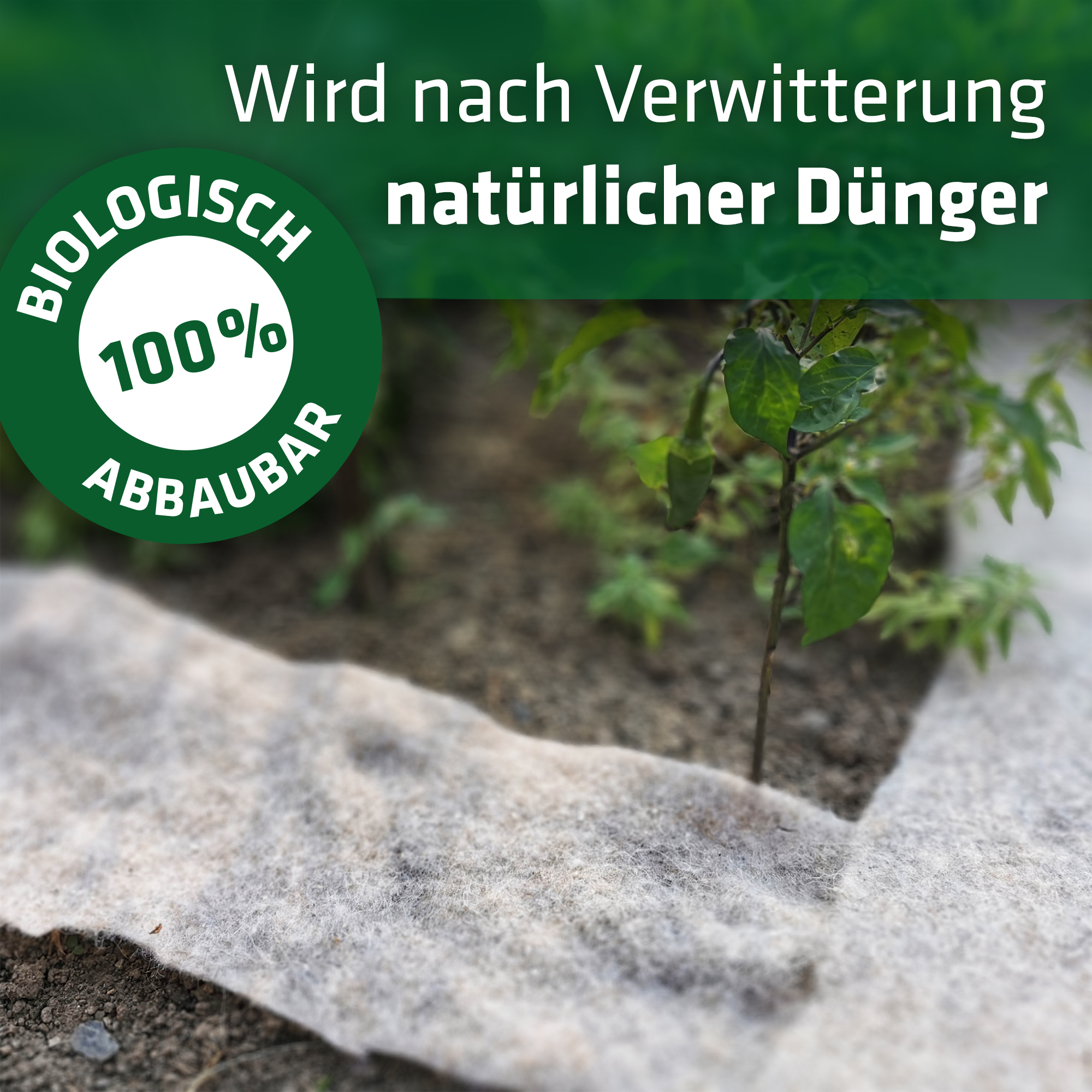 Biologisch abbaubare Schafwolle für den Garten