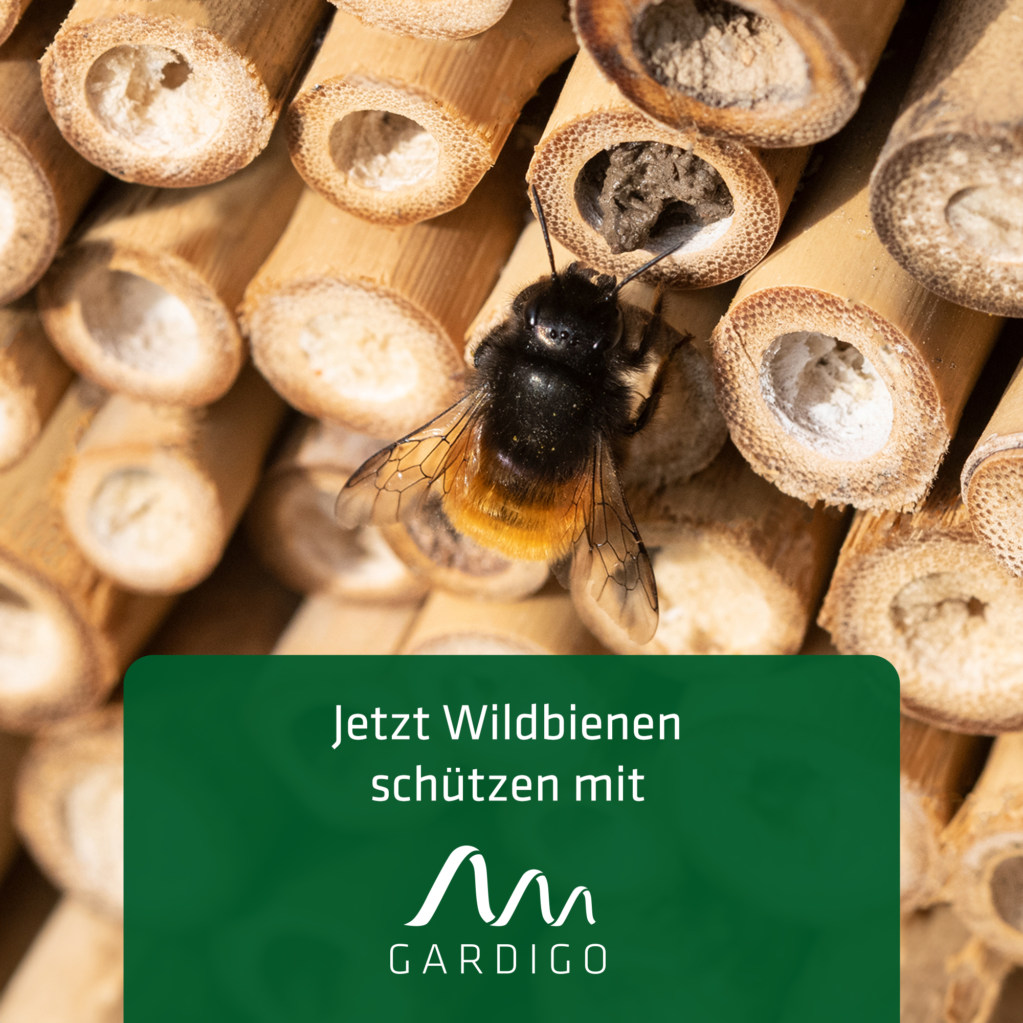 Insect Hotel XXXL | large nesting aid for bees
