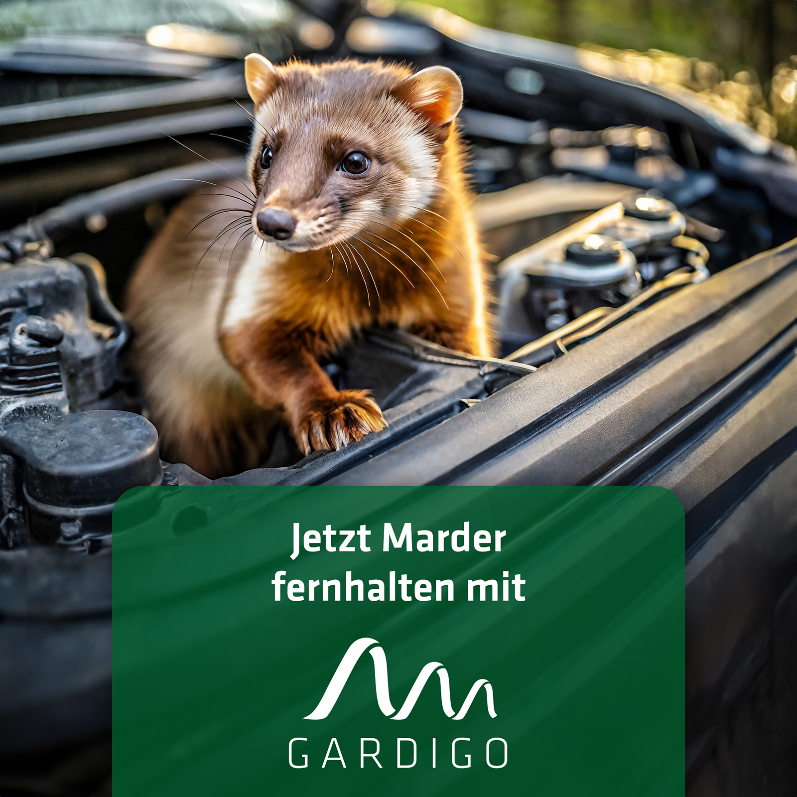 Anti-Martin Flex | repeller for electric cars & vehicles with combustion engine
