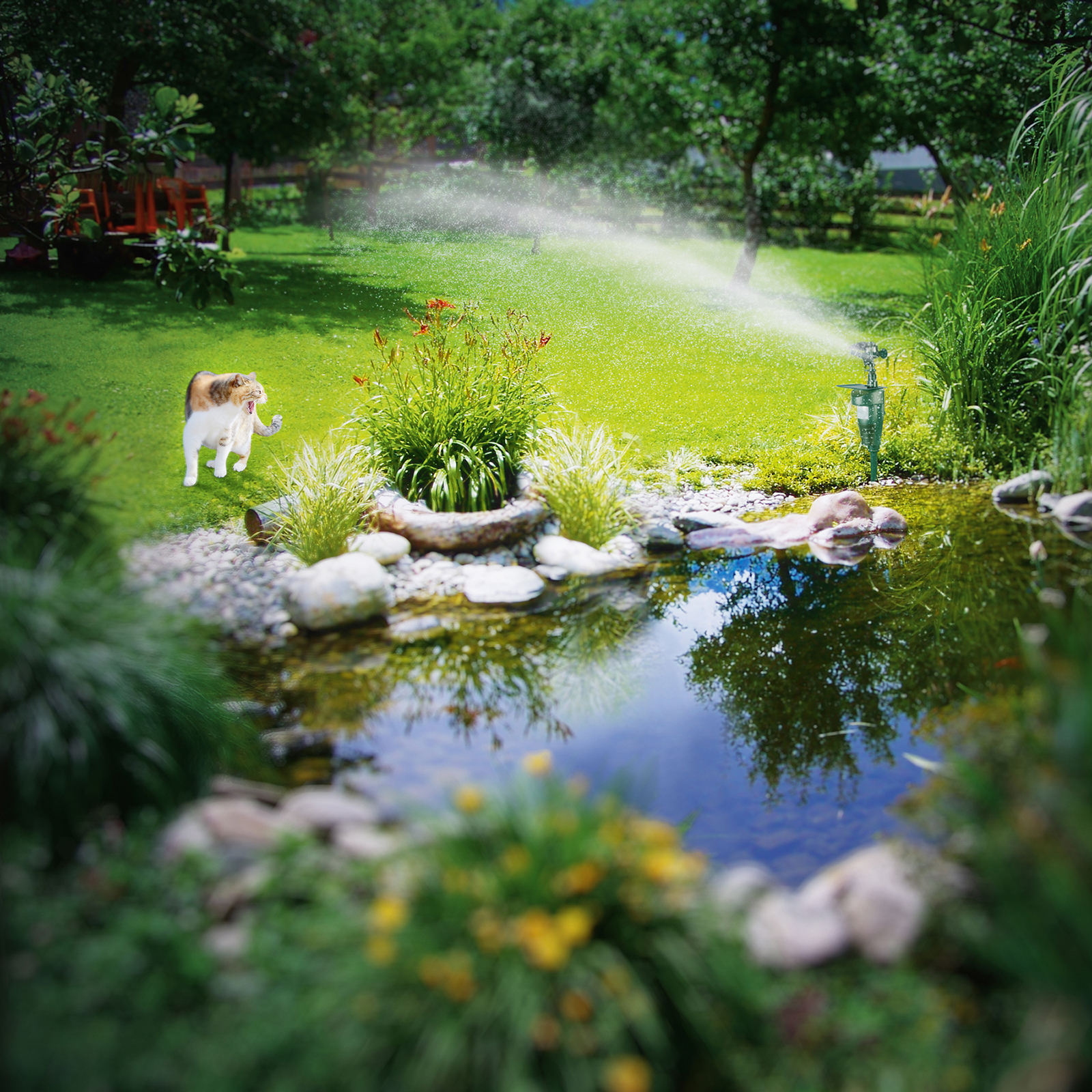The GARDIGO water jet animal repeller scares away a cat.