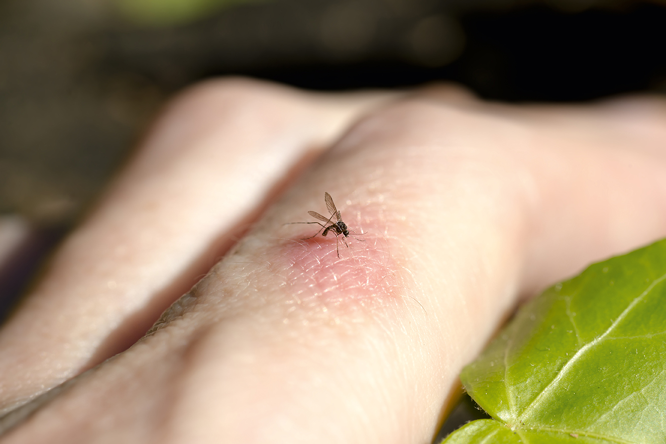 Combi-Protection | plug in repellent against mosquitoes | integrated socket