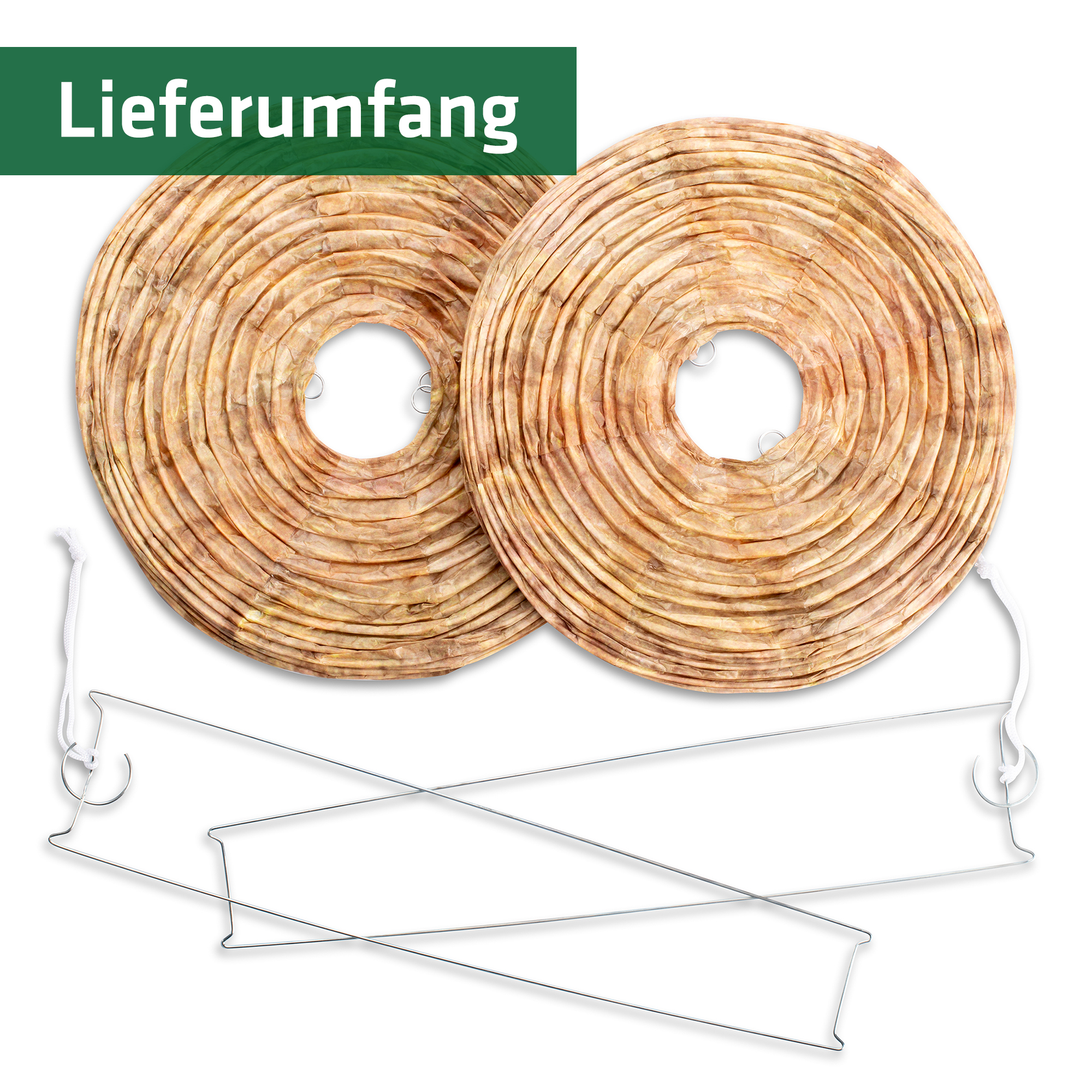 Wasp Nest Dummy | fake nest against real wasps